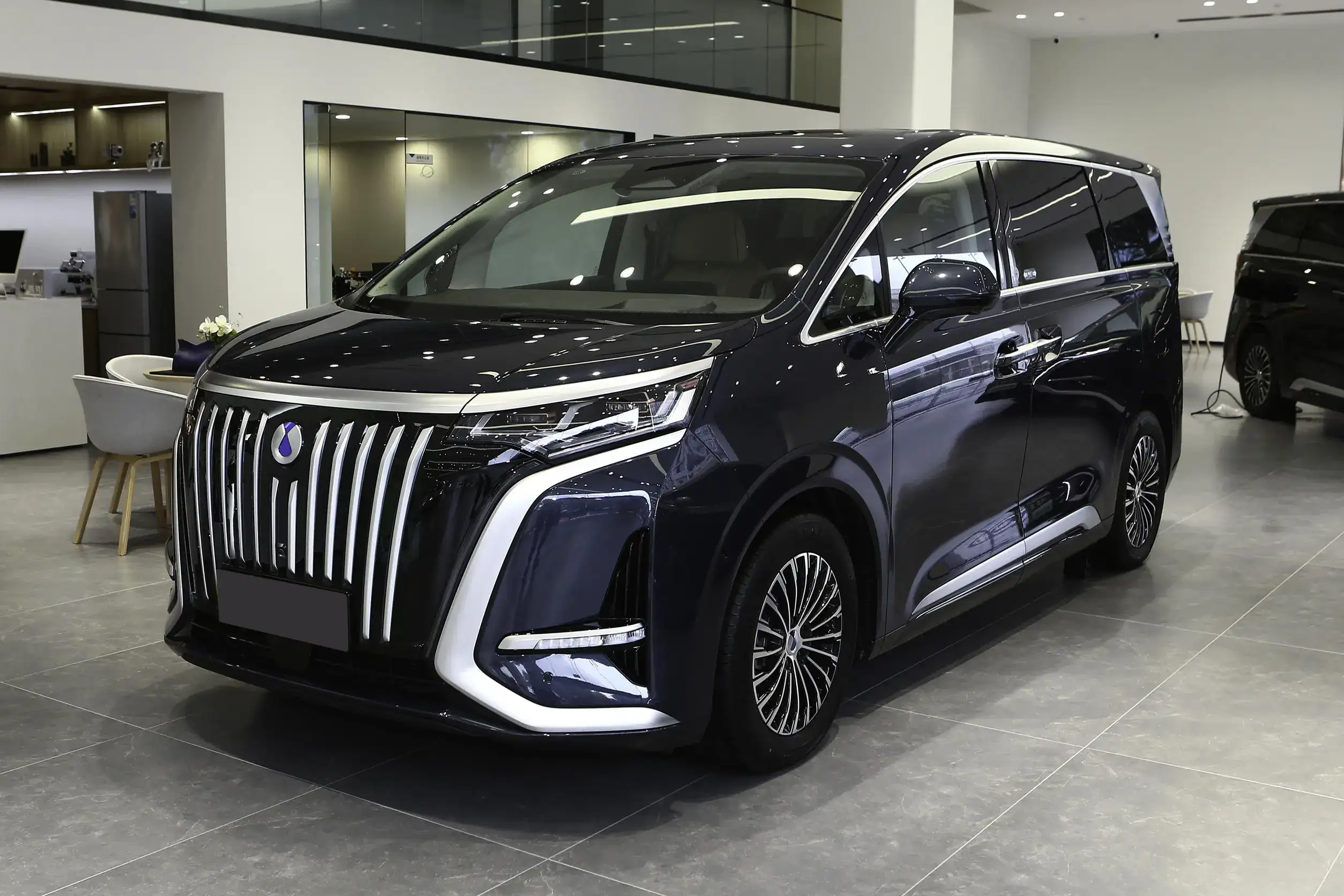 Denza D9 EV picture (12)