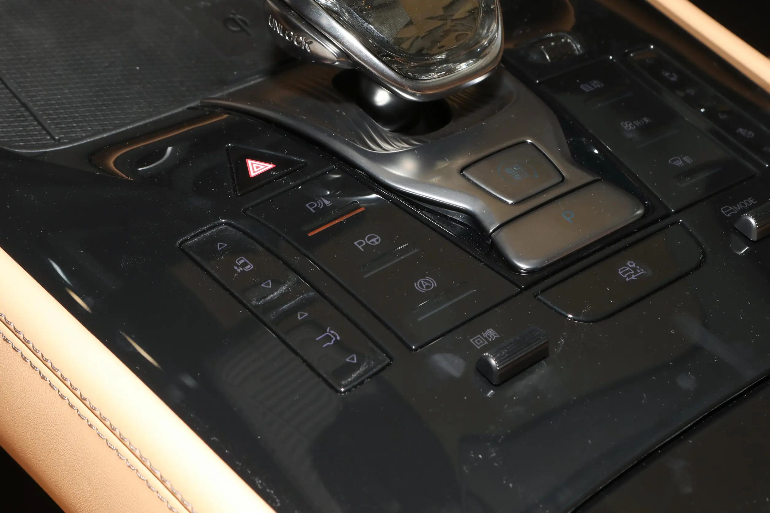 Denza D9 EV picture (5)