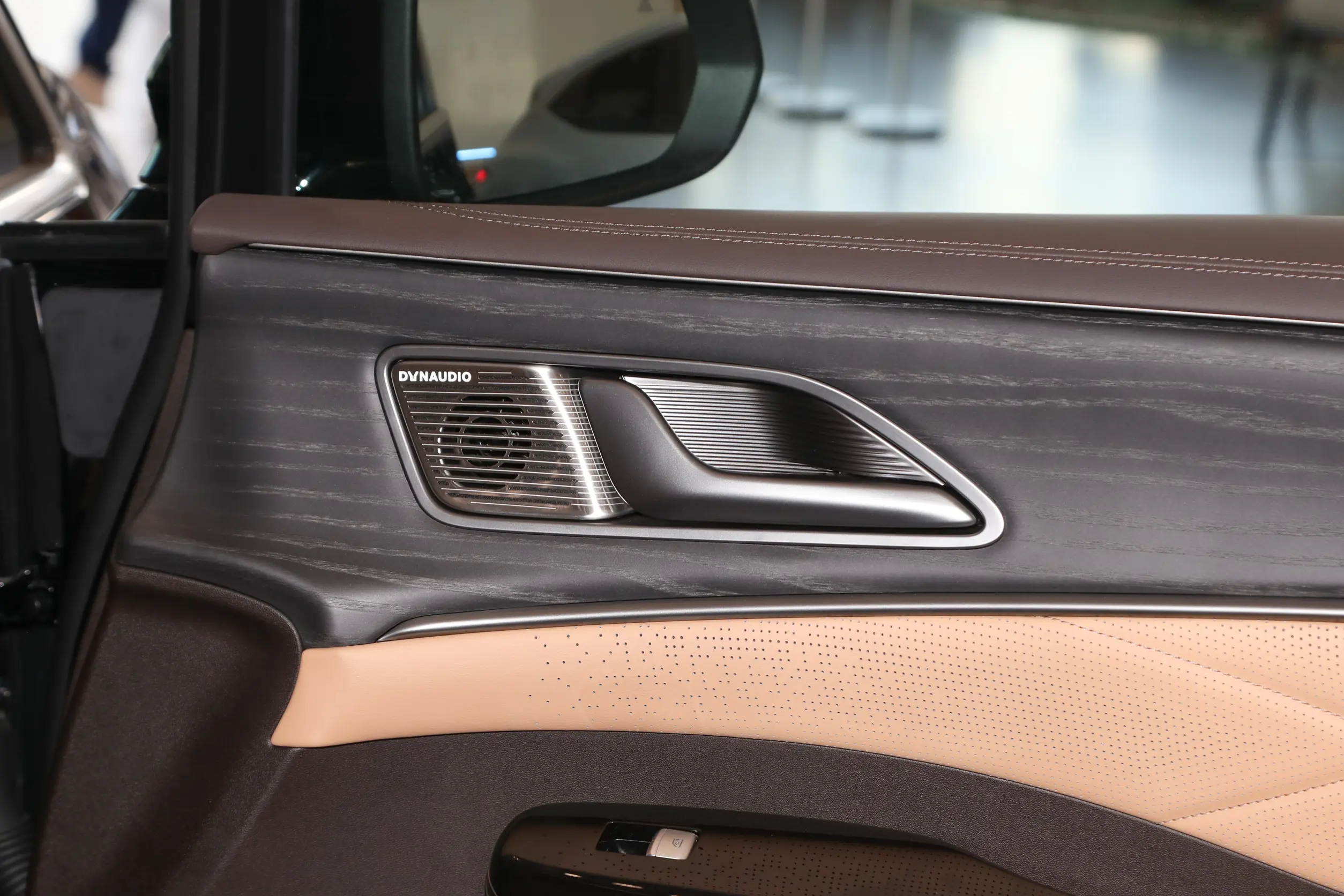 Denza D9 EV picture (7)