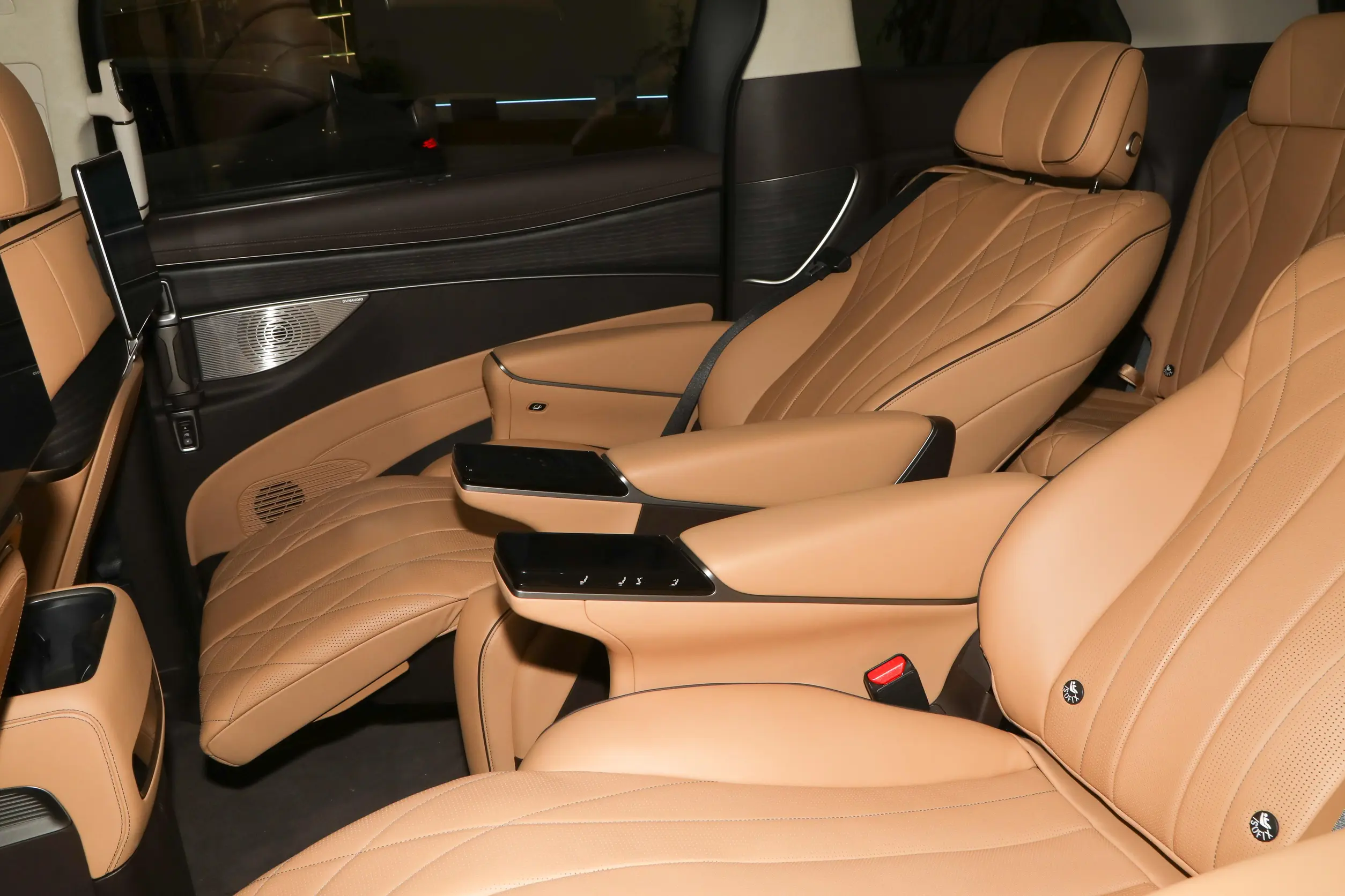 Denza D9 EV picture (9)