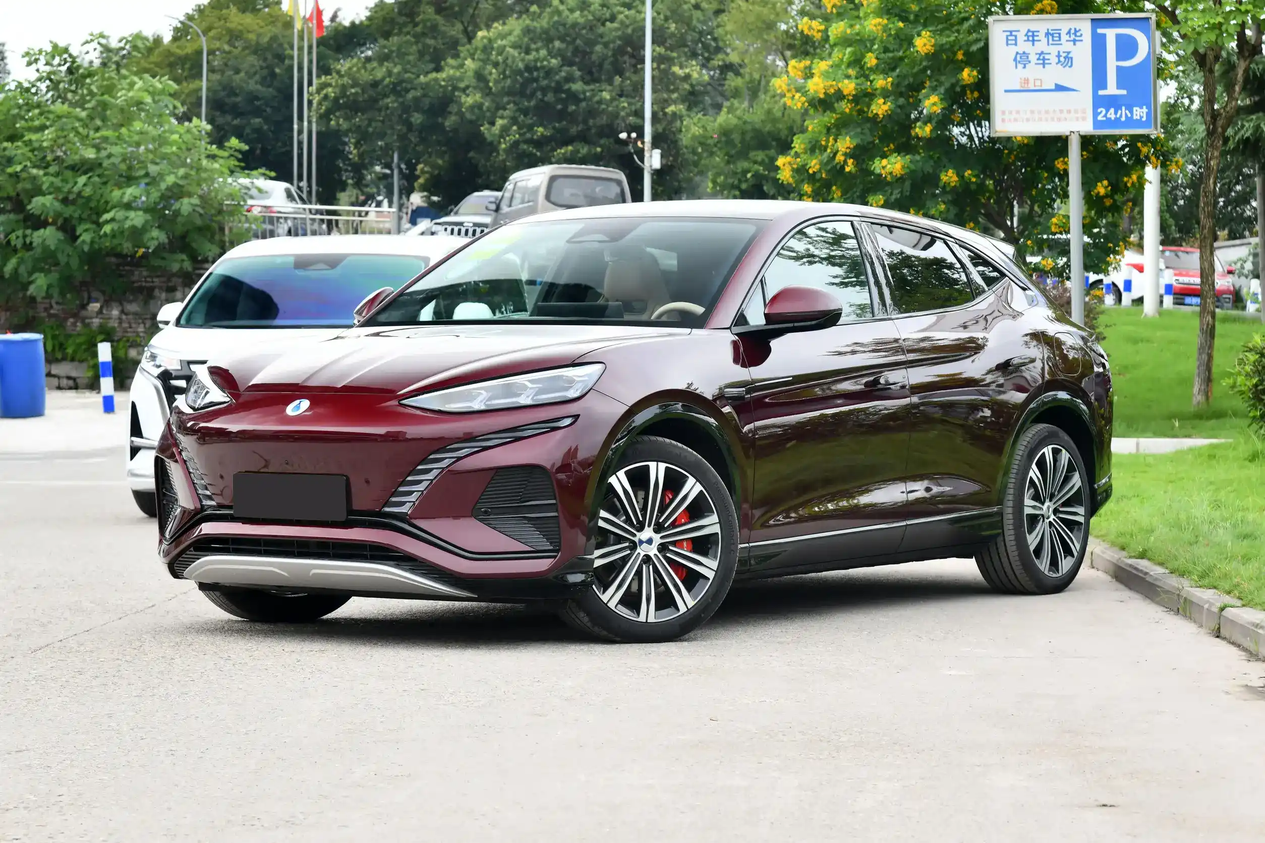 Denza N7 picture- 2023 (10)