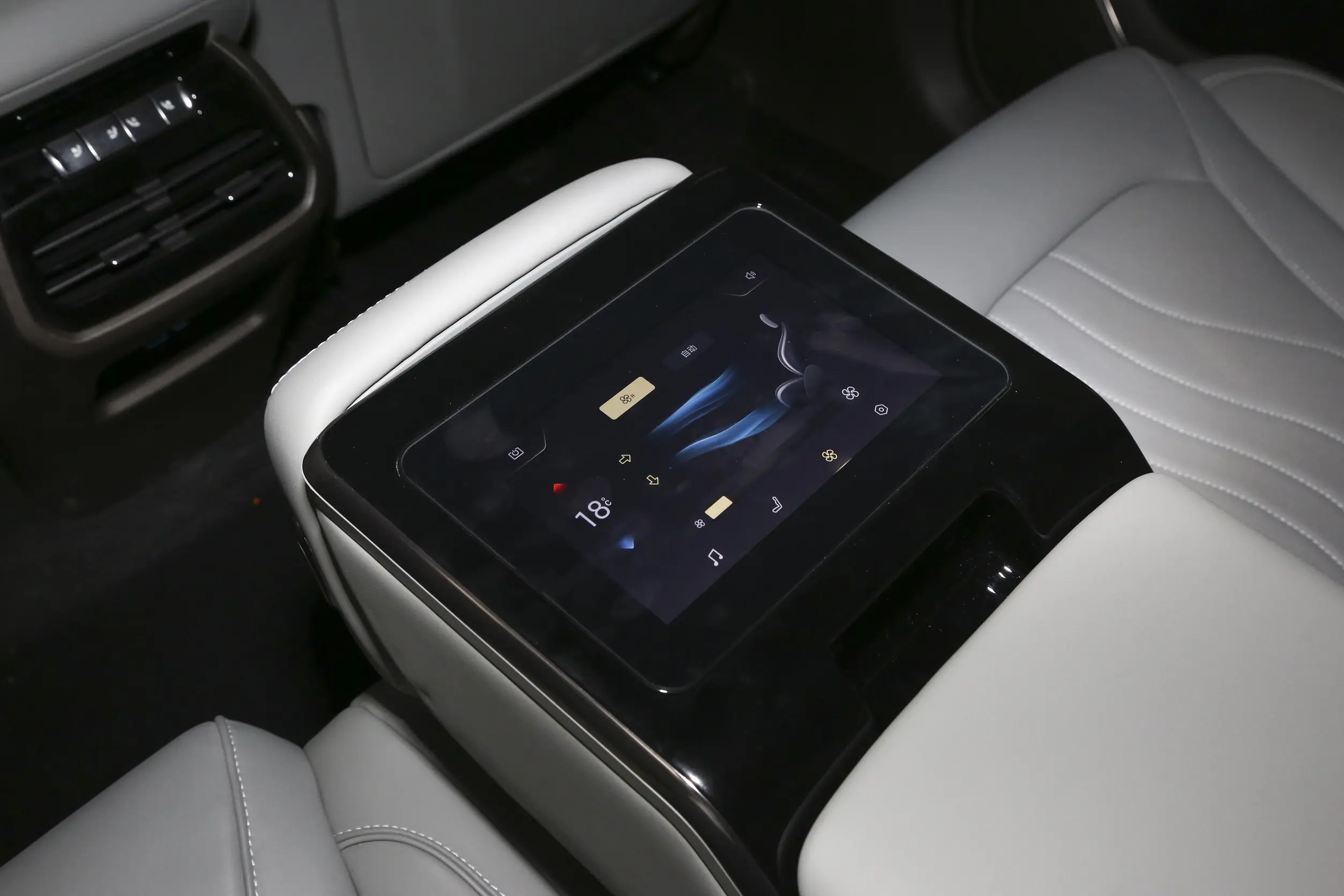 Denza N7 picture- 2024 (9)