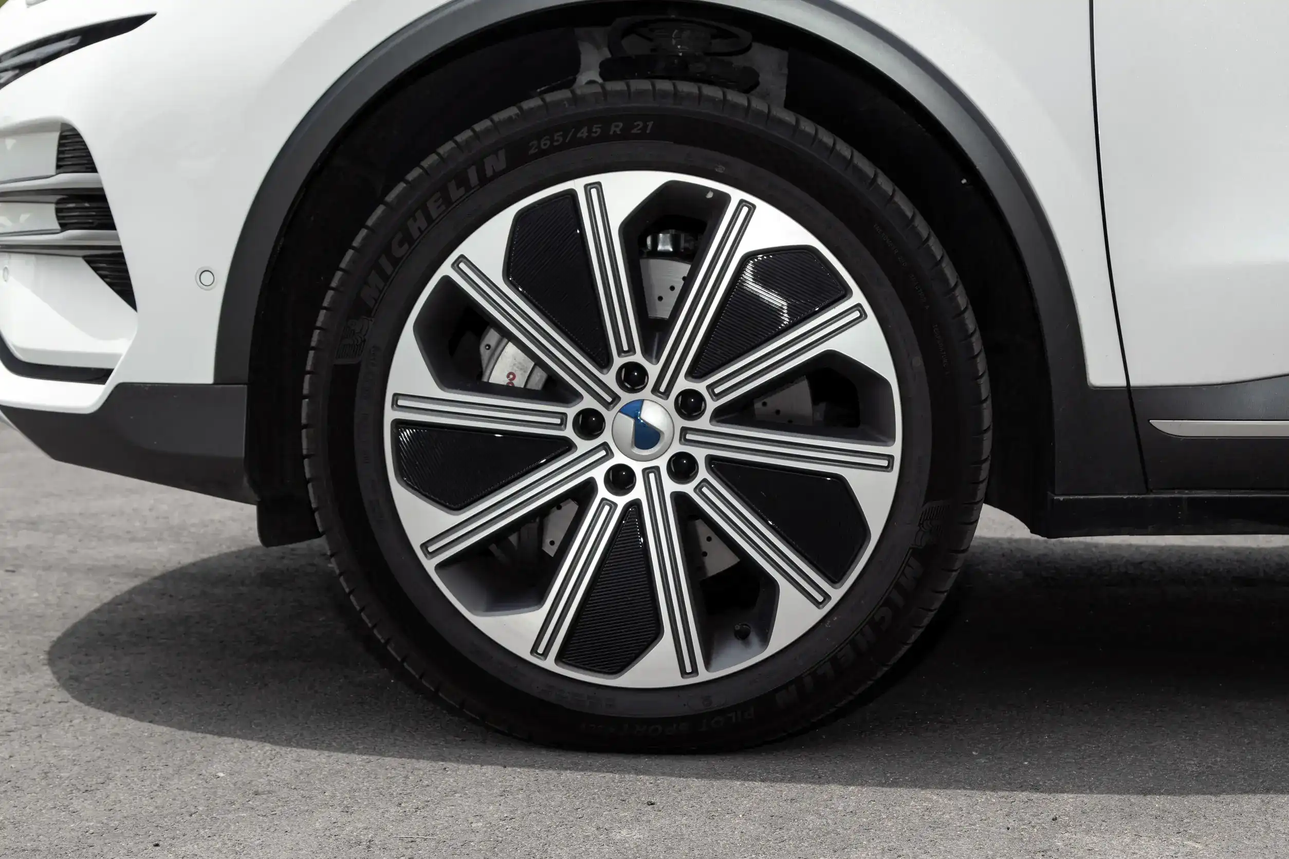 Denza N8 DM picture (10)