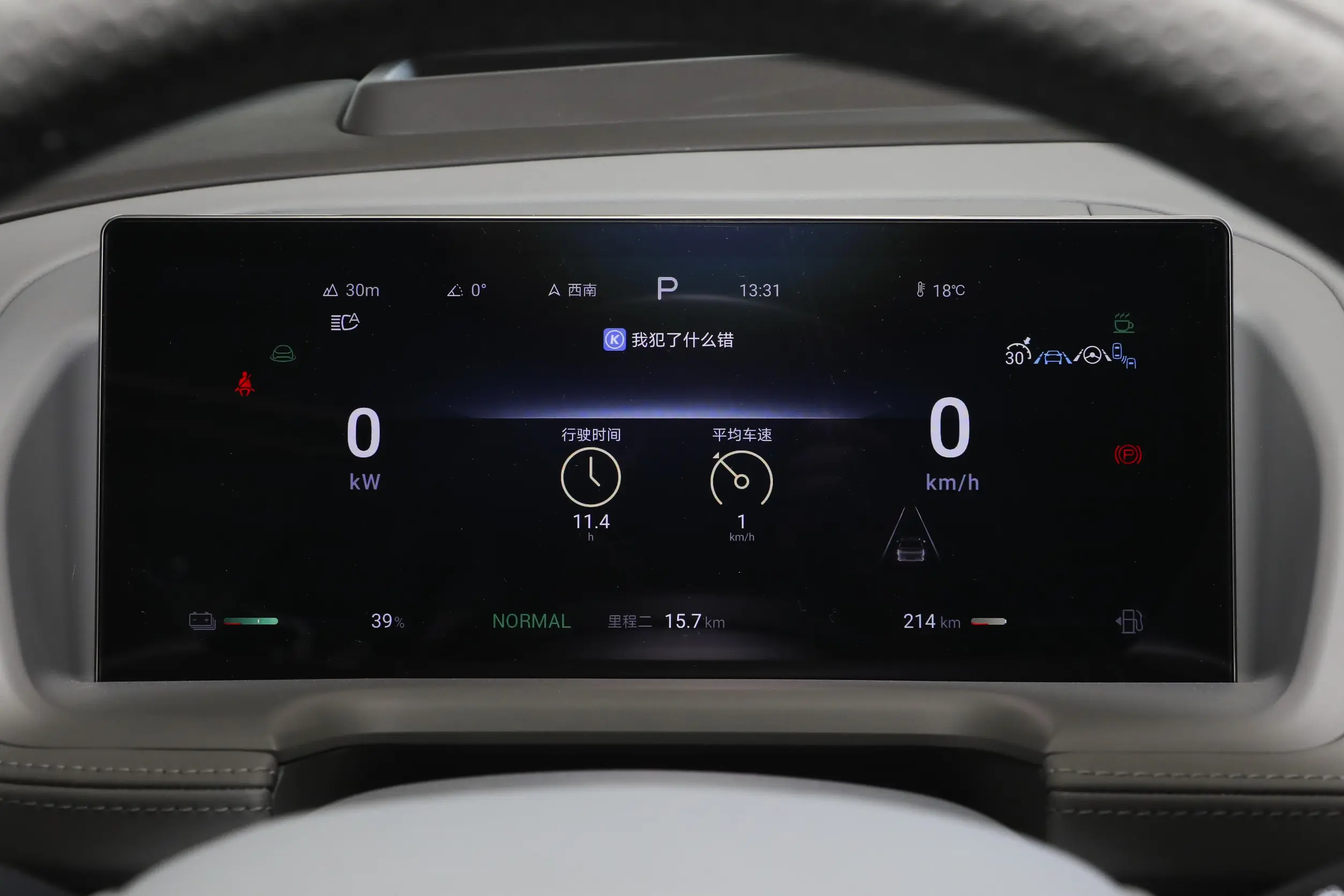 Denza N8 DM picture (13)