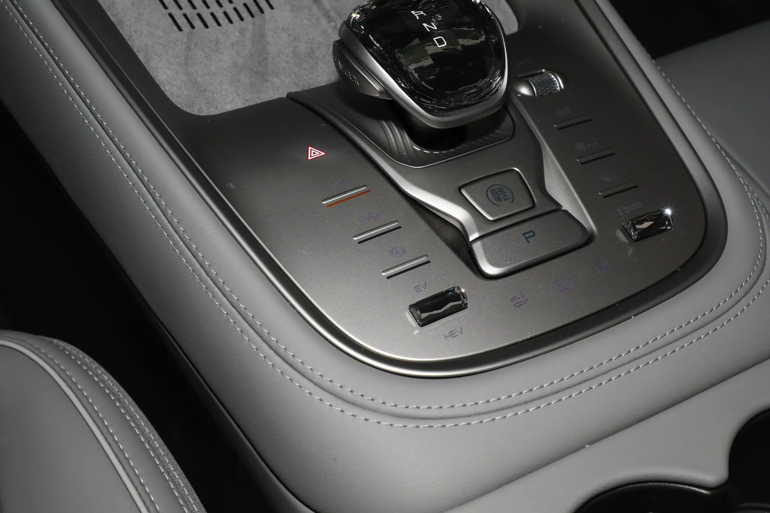 Denza N8 DM picture (15)