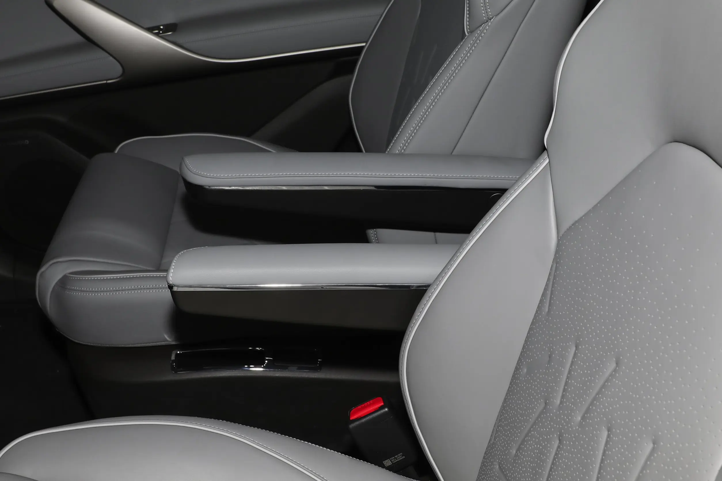 Denza N8 DM picture (2)