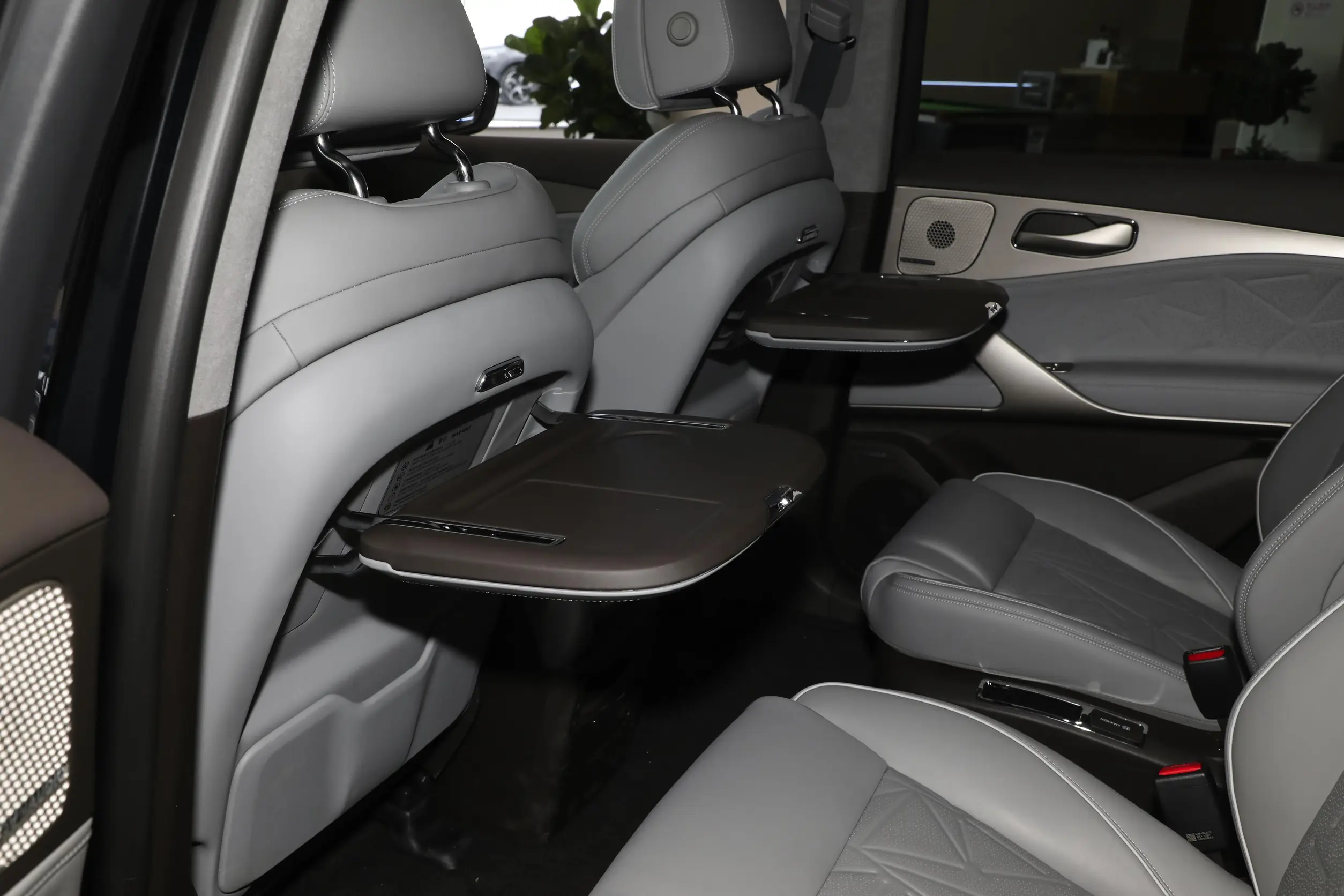 Denza N8 DM picture (3)