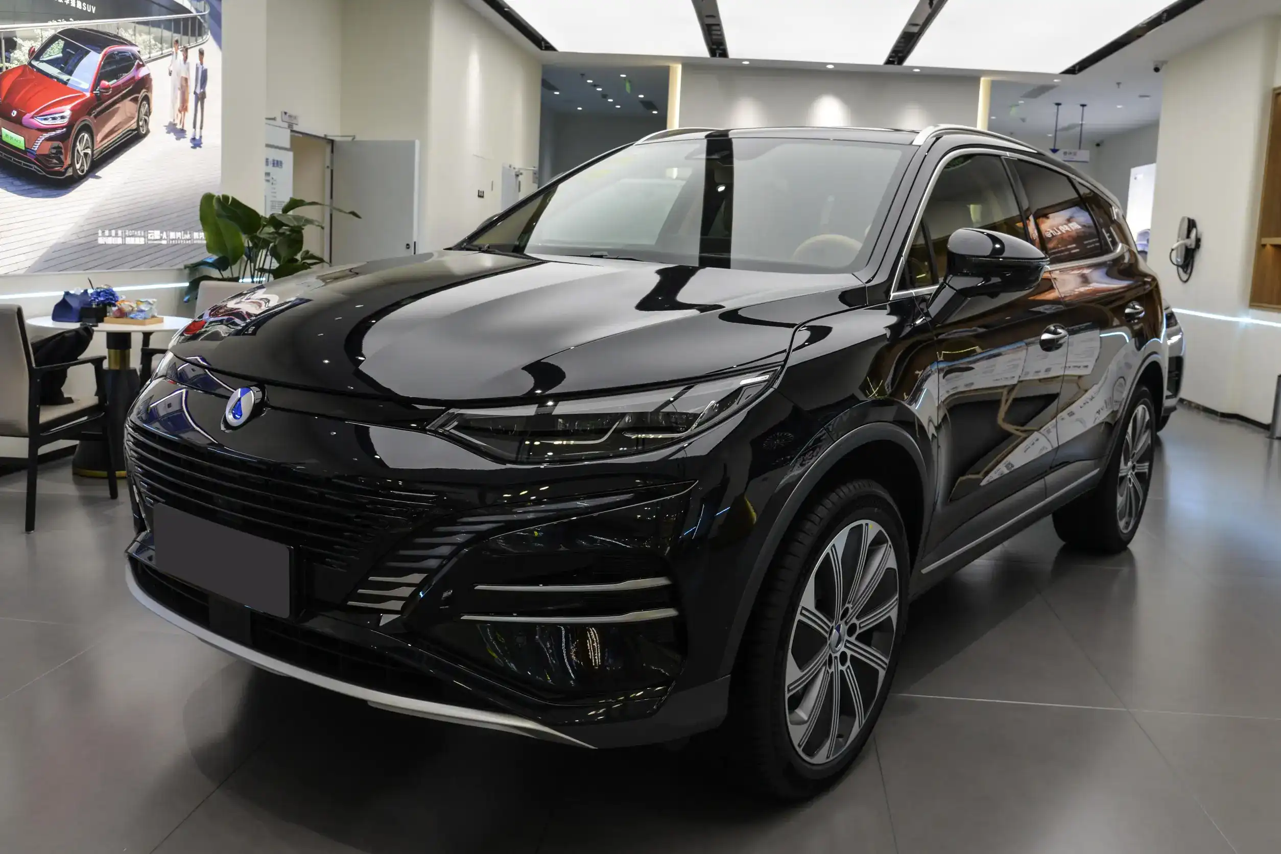 Denza N8 DM picture (4)