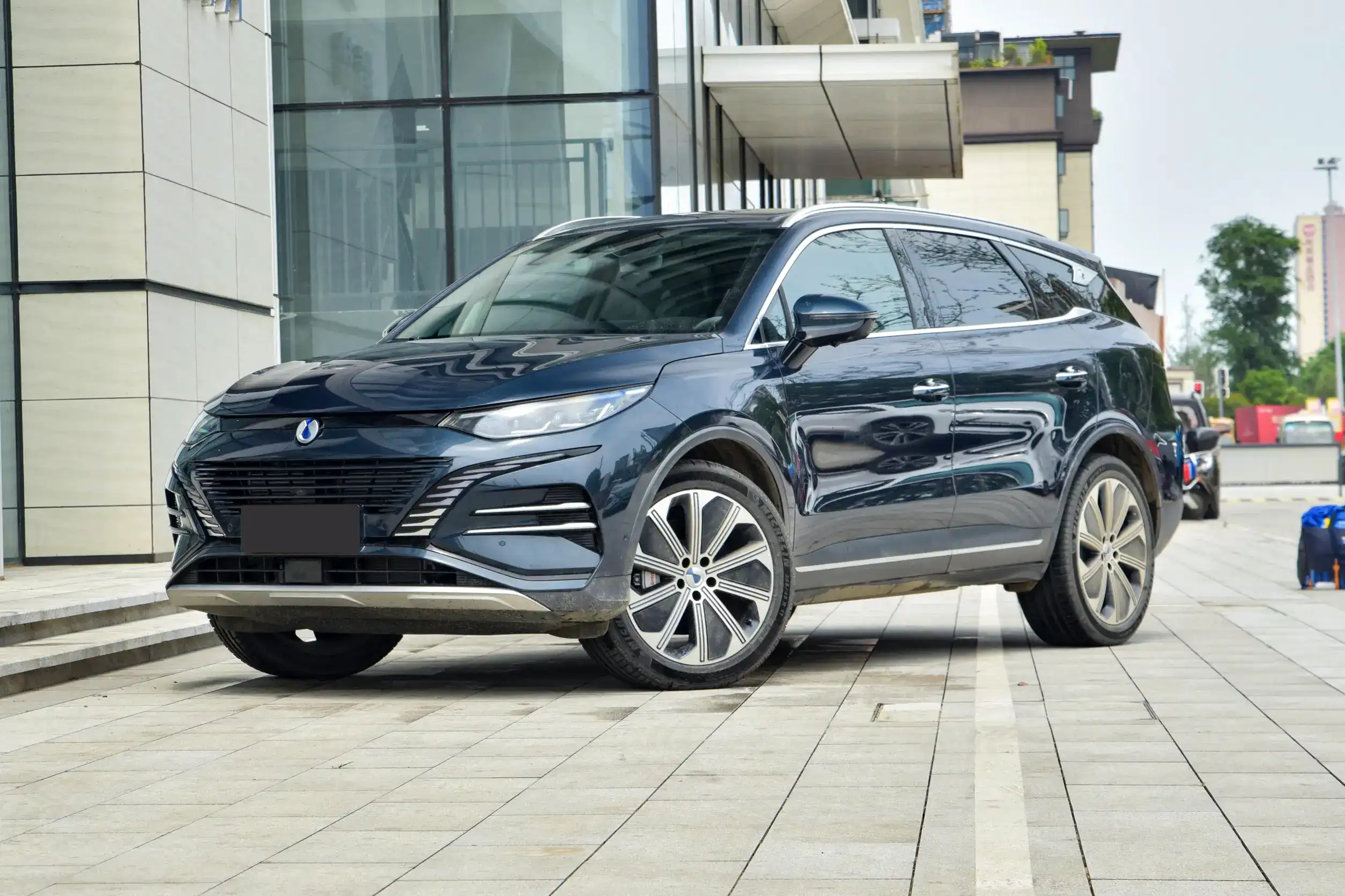 Denza N8 DM picture (5)