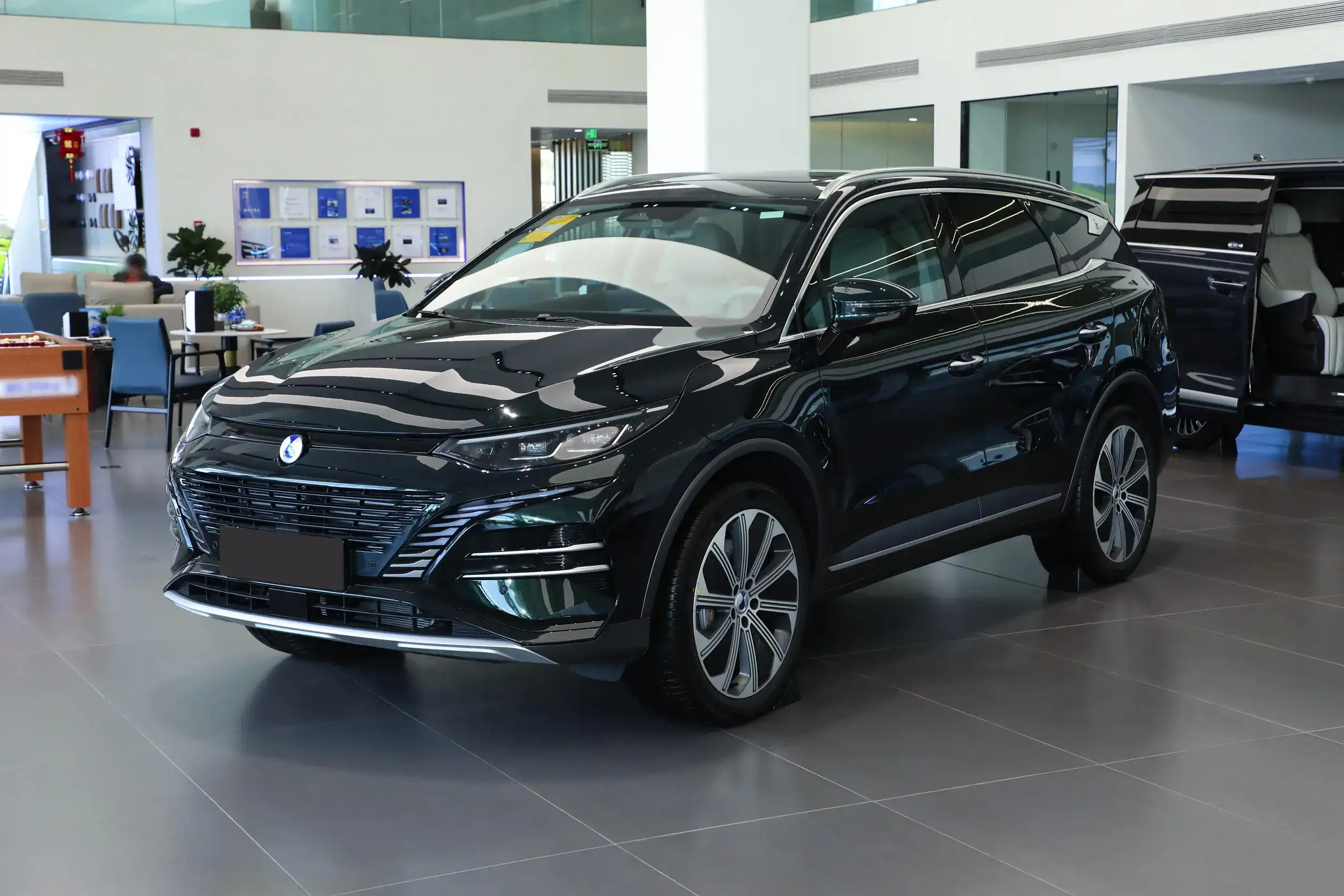 Denza N8 DM picture (6)