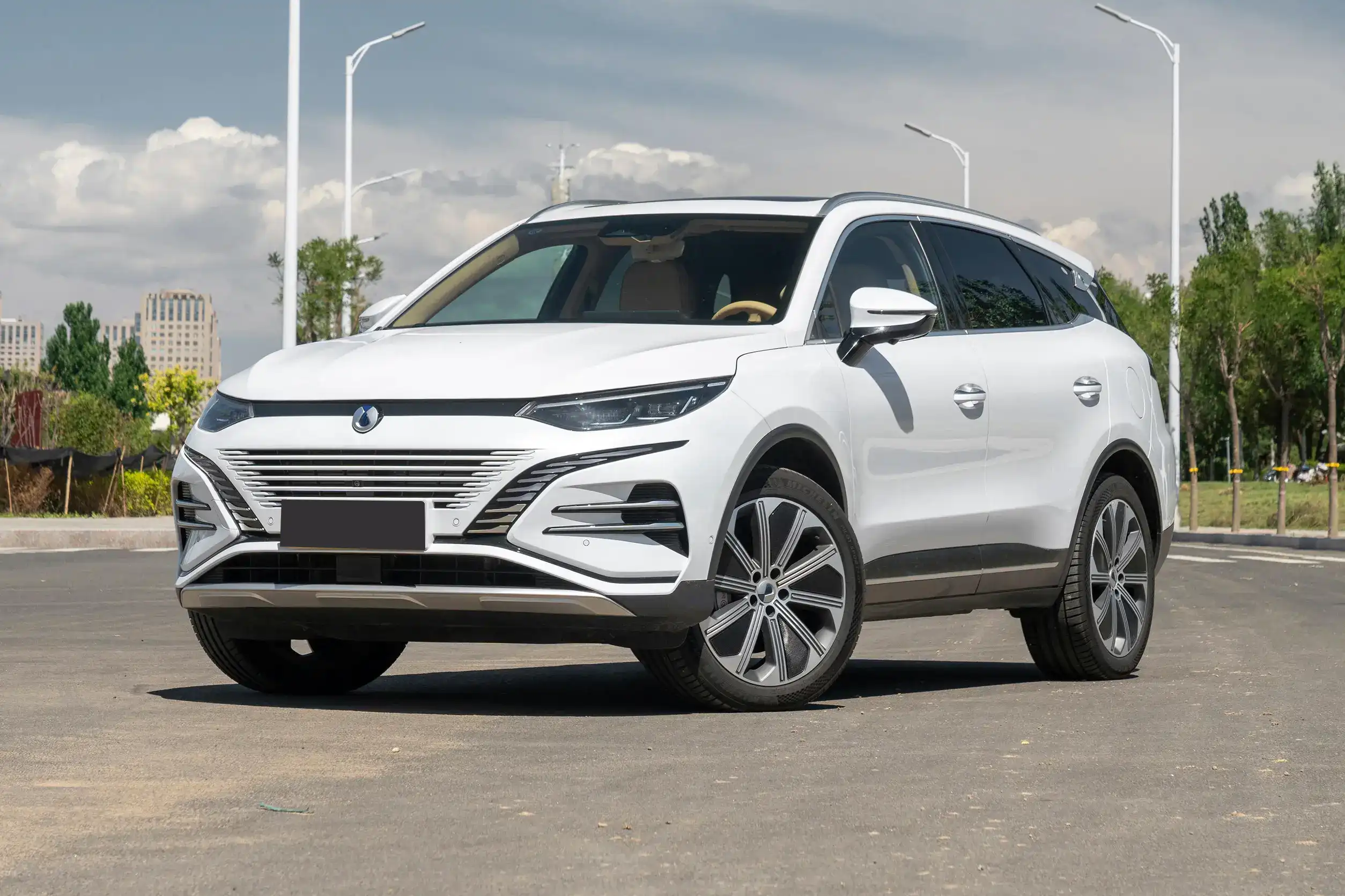 Denza N8 DM picture (8)