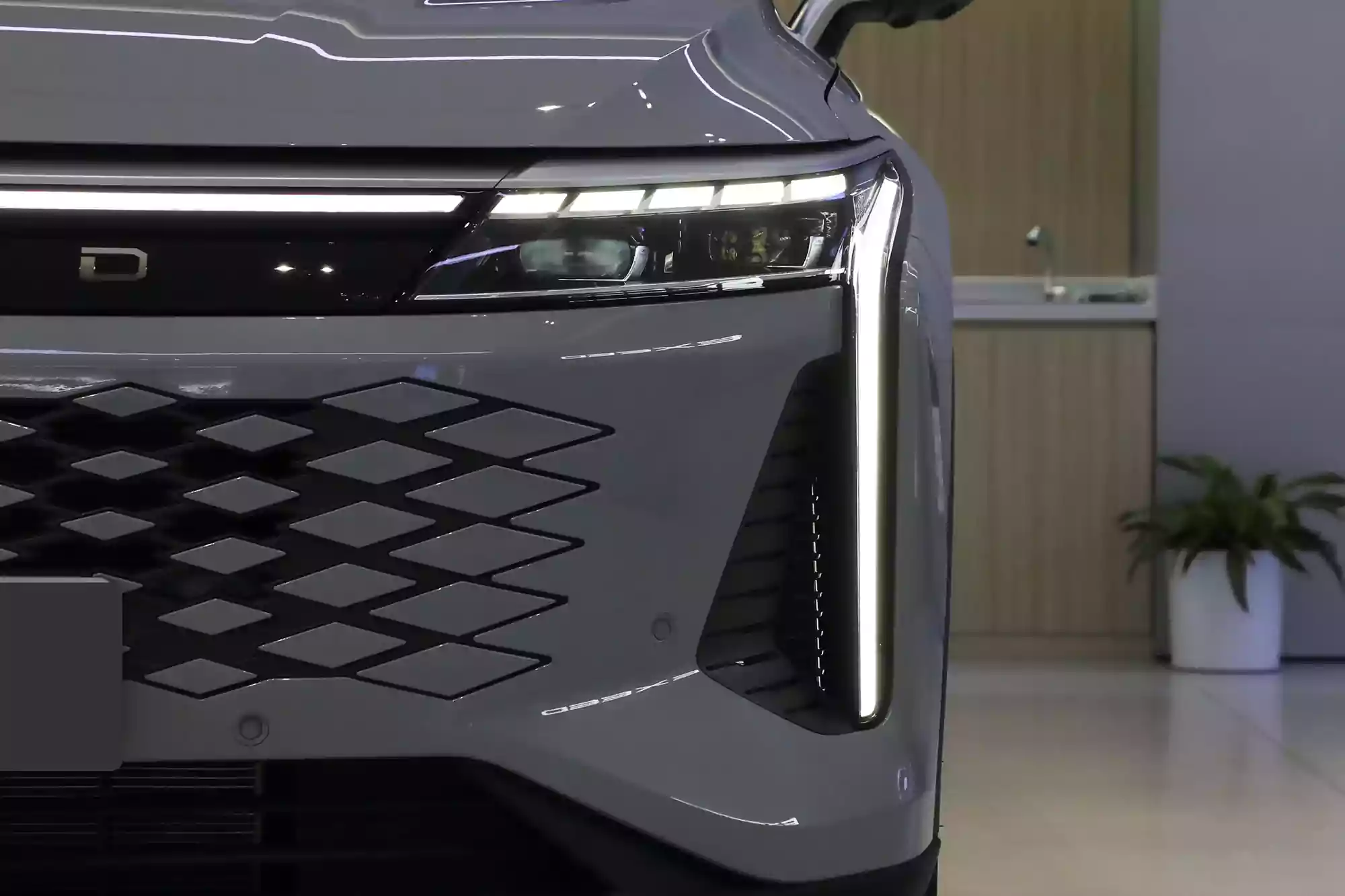 EXEED Yaoguang C-DM picture (10)