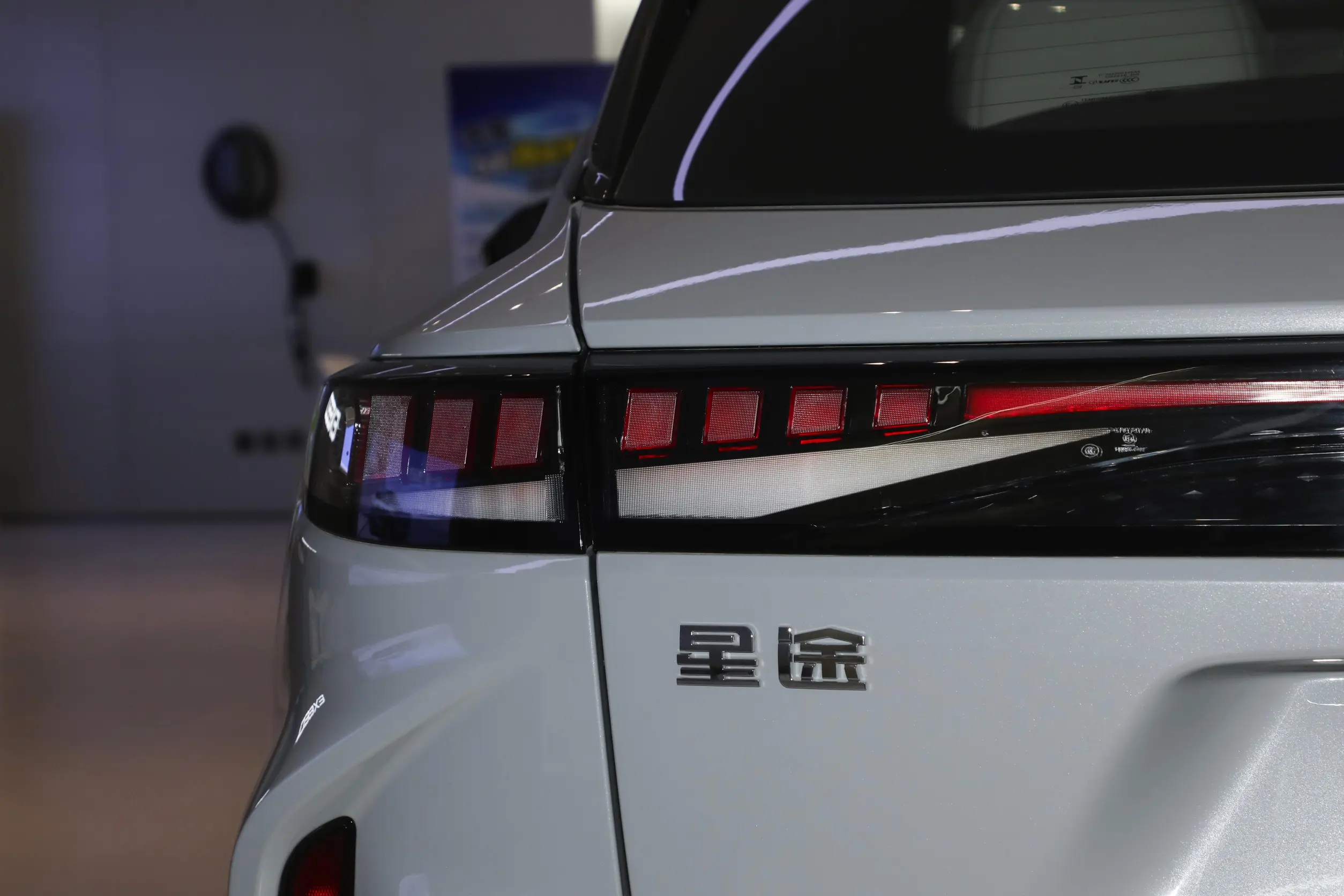 EXEED Yaoguang C-DM picture (4)