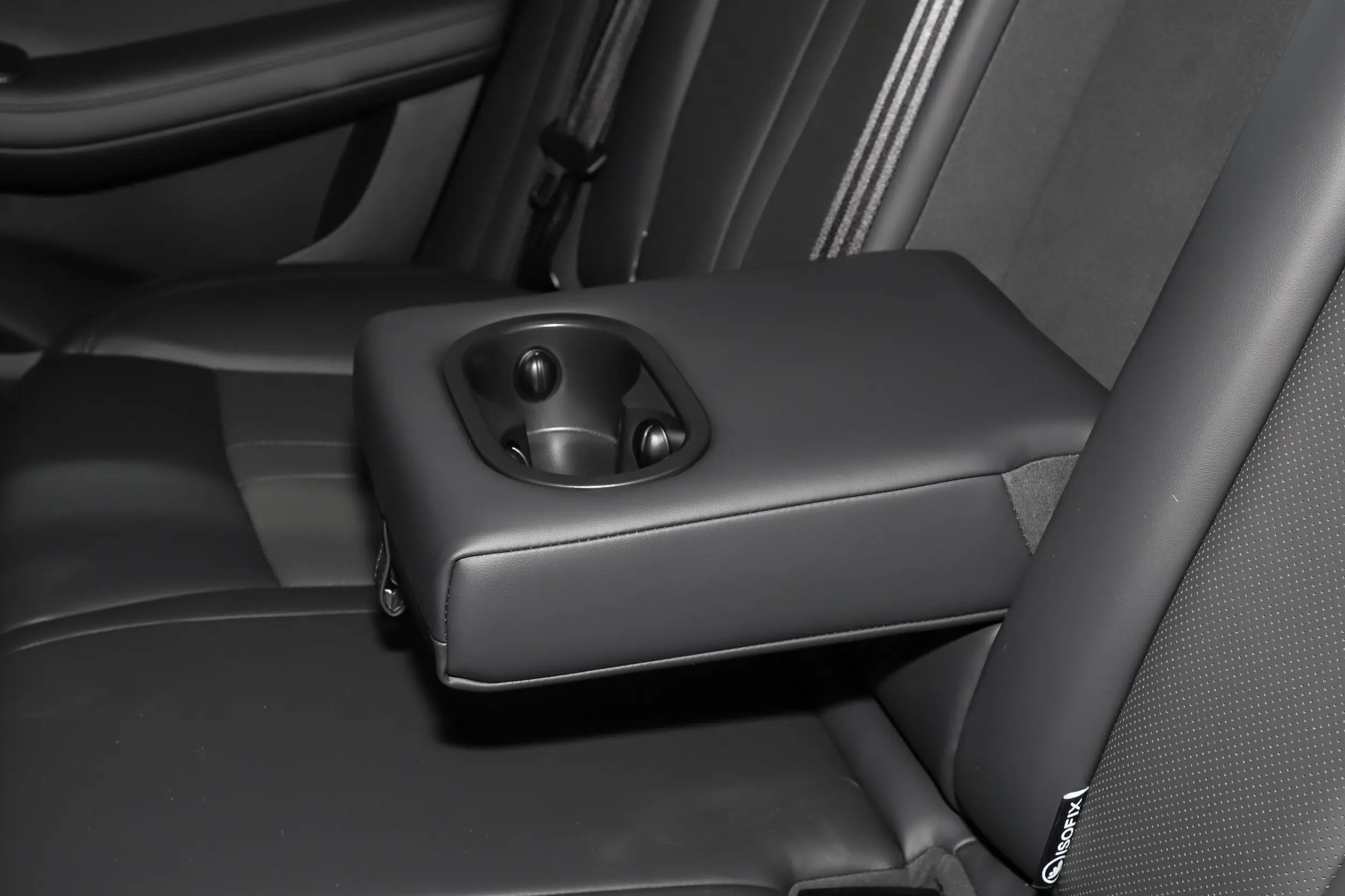 GAC Aion S picture (4)