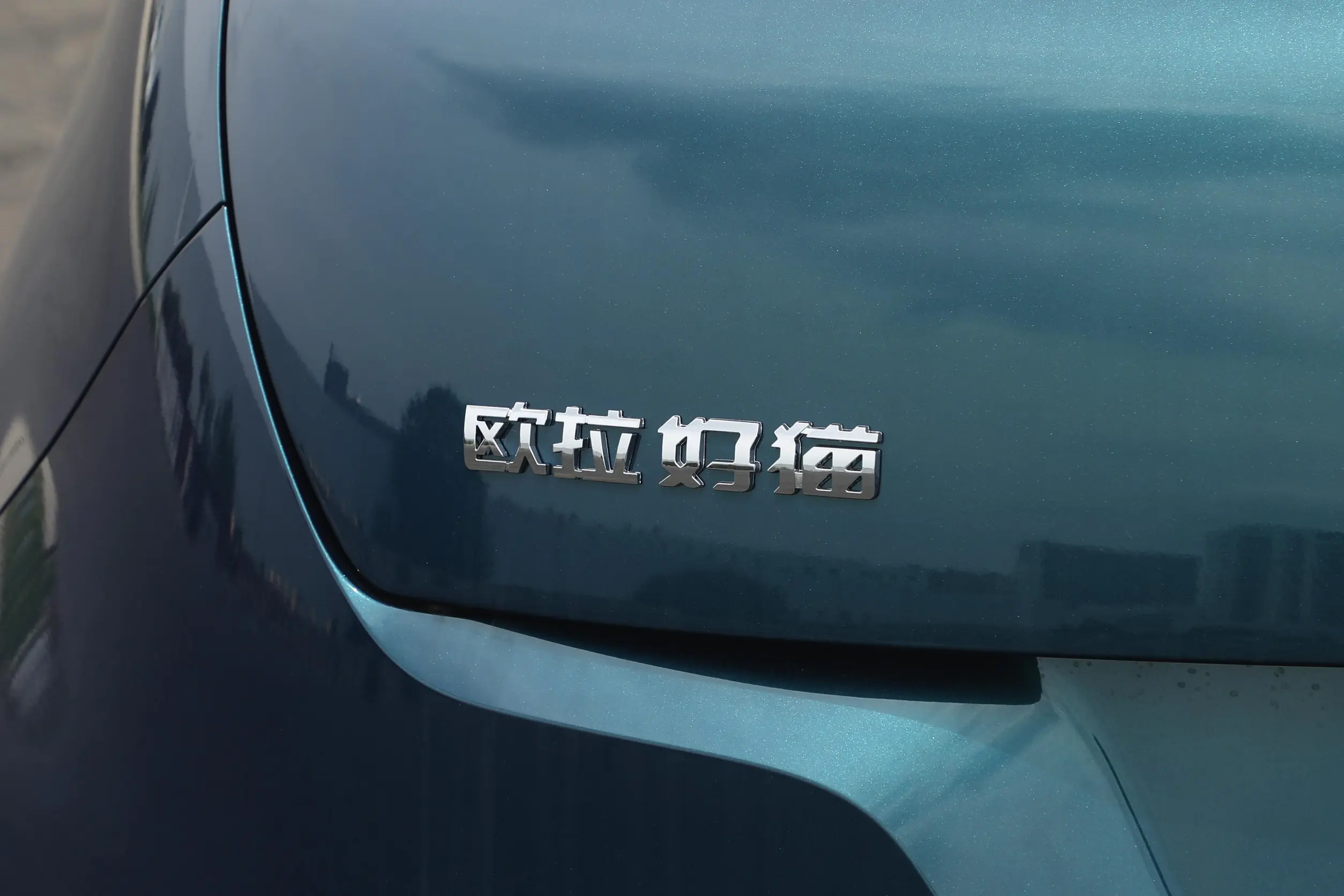 GWM Ora Funky Cat picture (11)