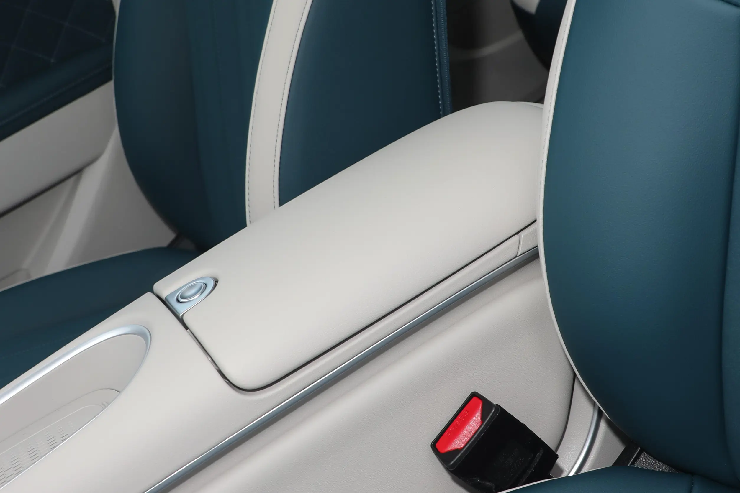 GWM Ora Funky Cat picture (6)