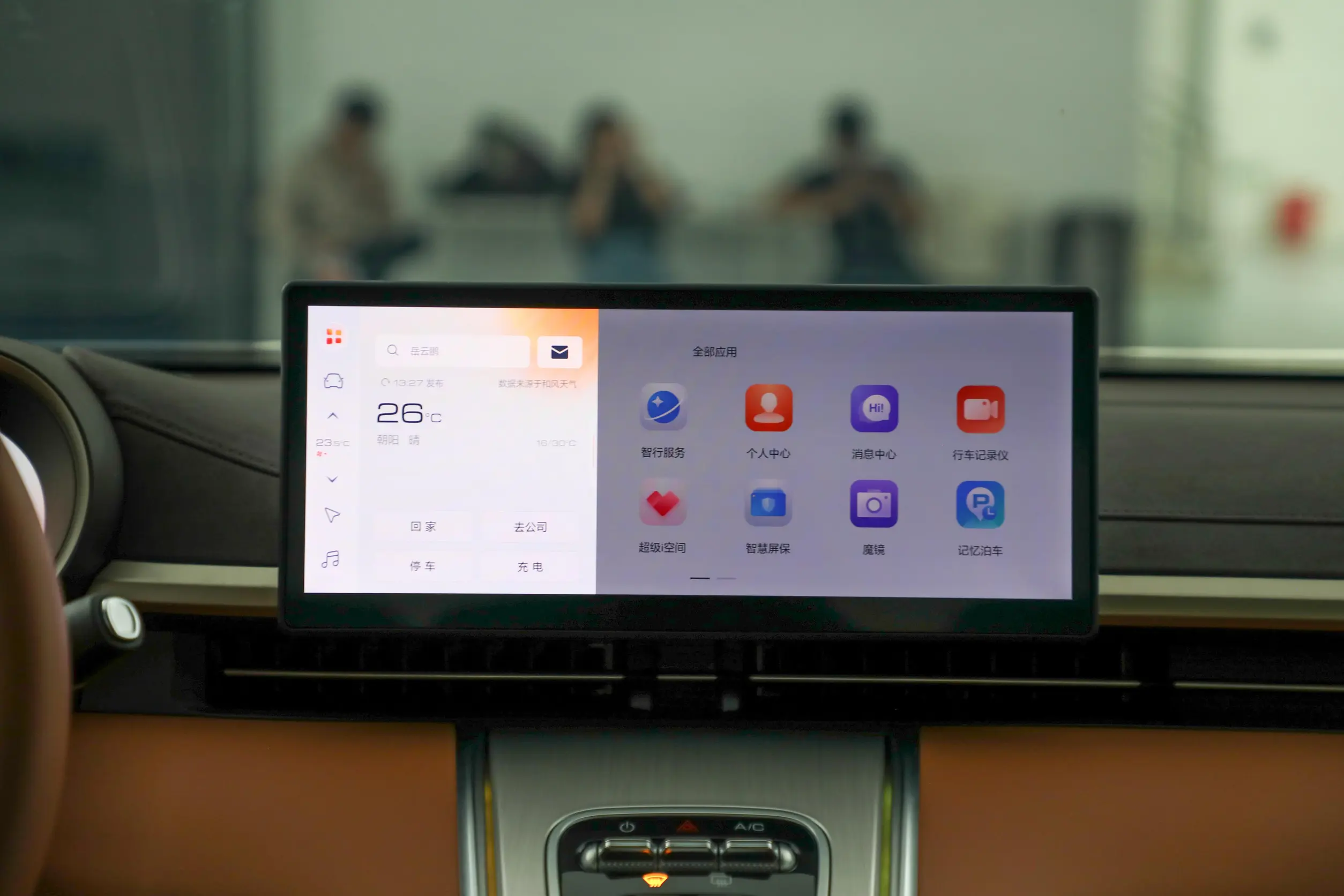 GWM Ora Lightening Cat picture (10)