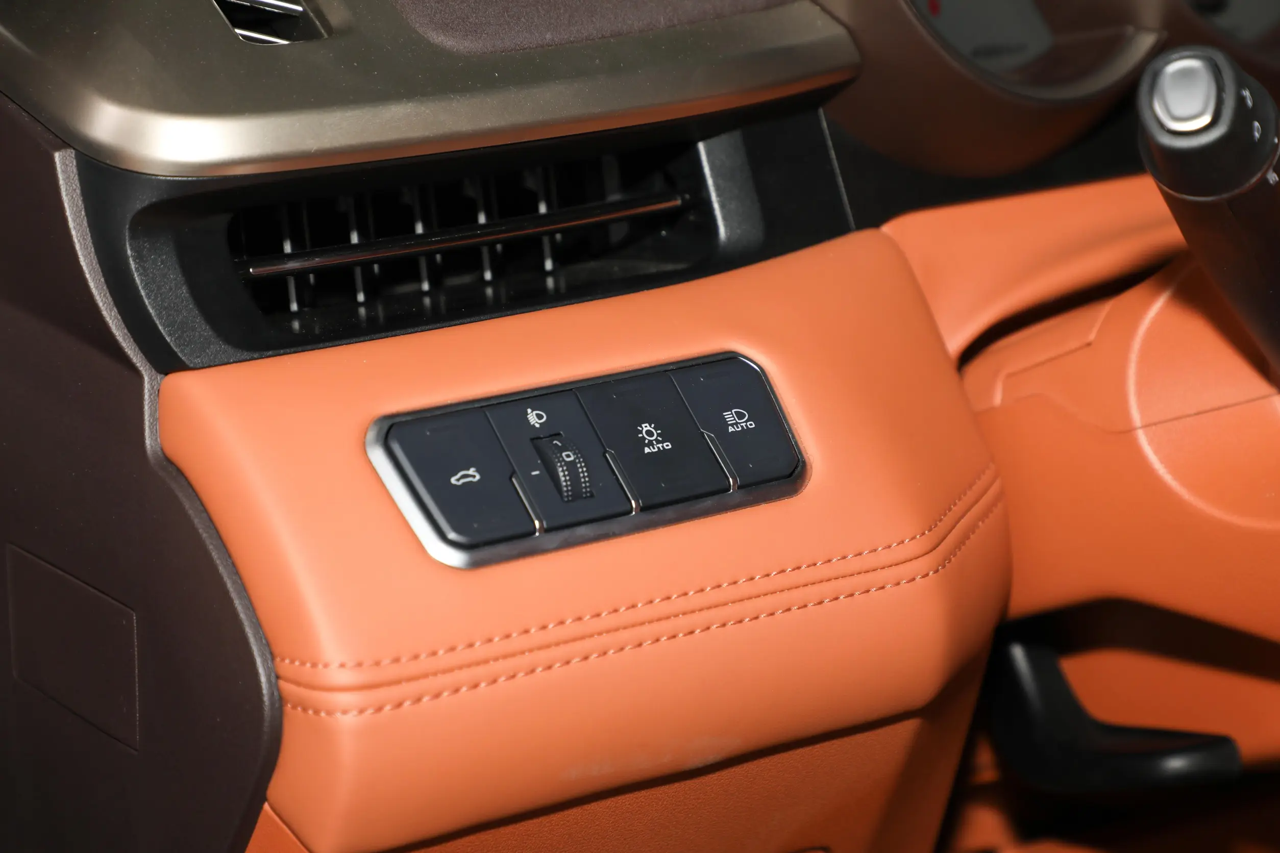 GWM Ora Lightening Cat picture (7)