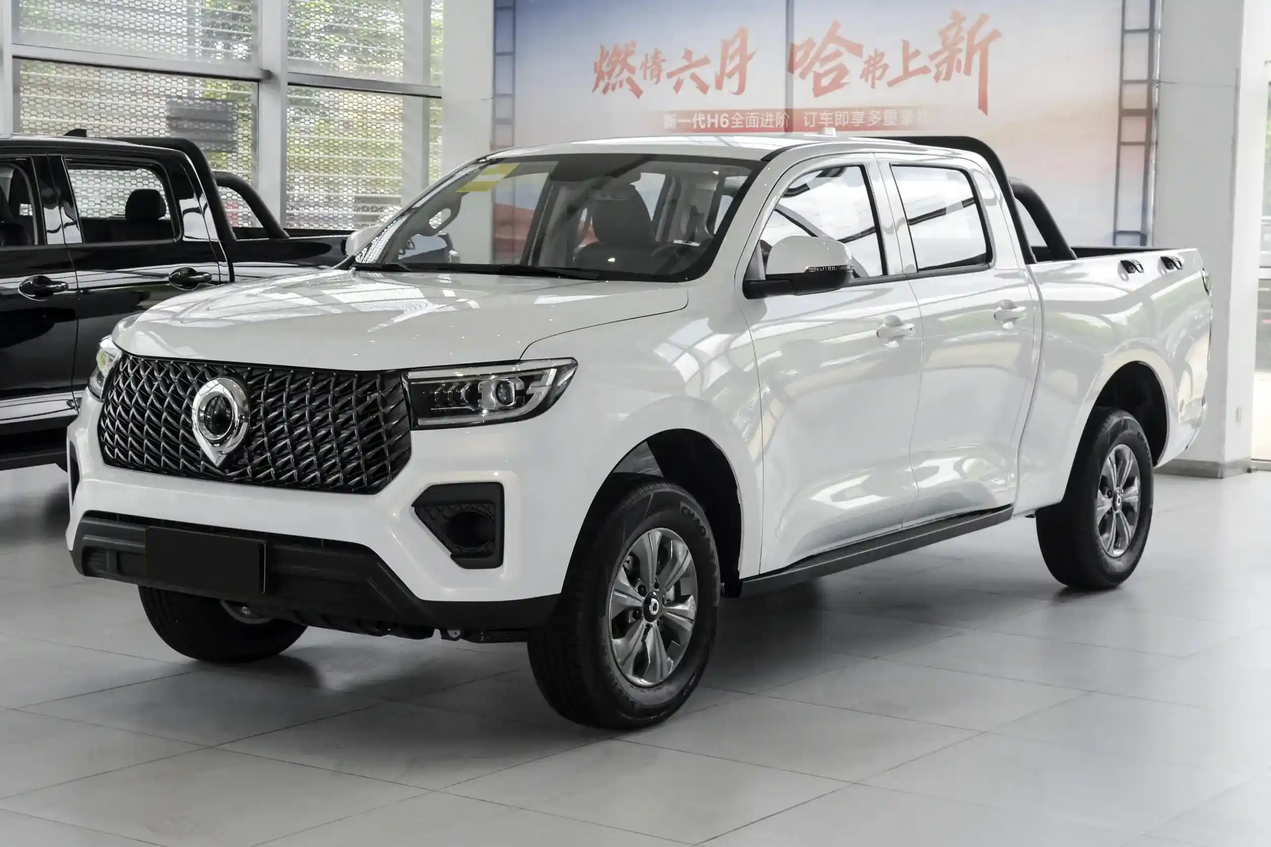 GWM POER picture (7)