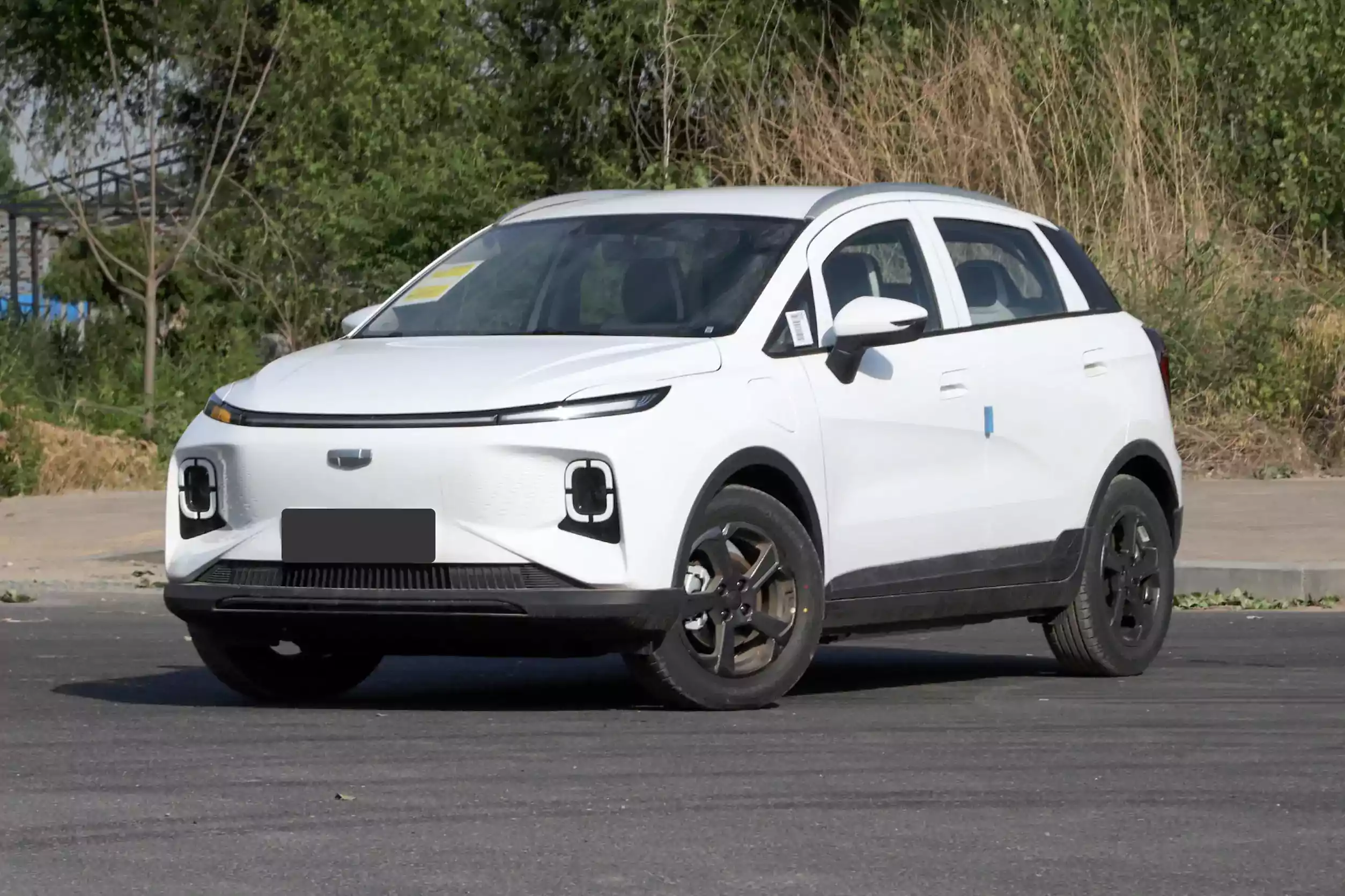 Geely Geometry E Firefly picture (11)