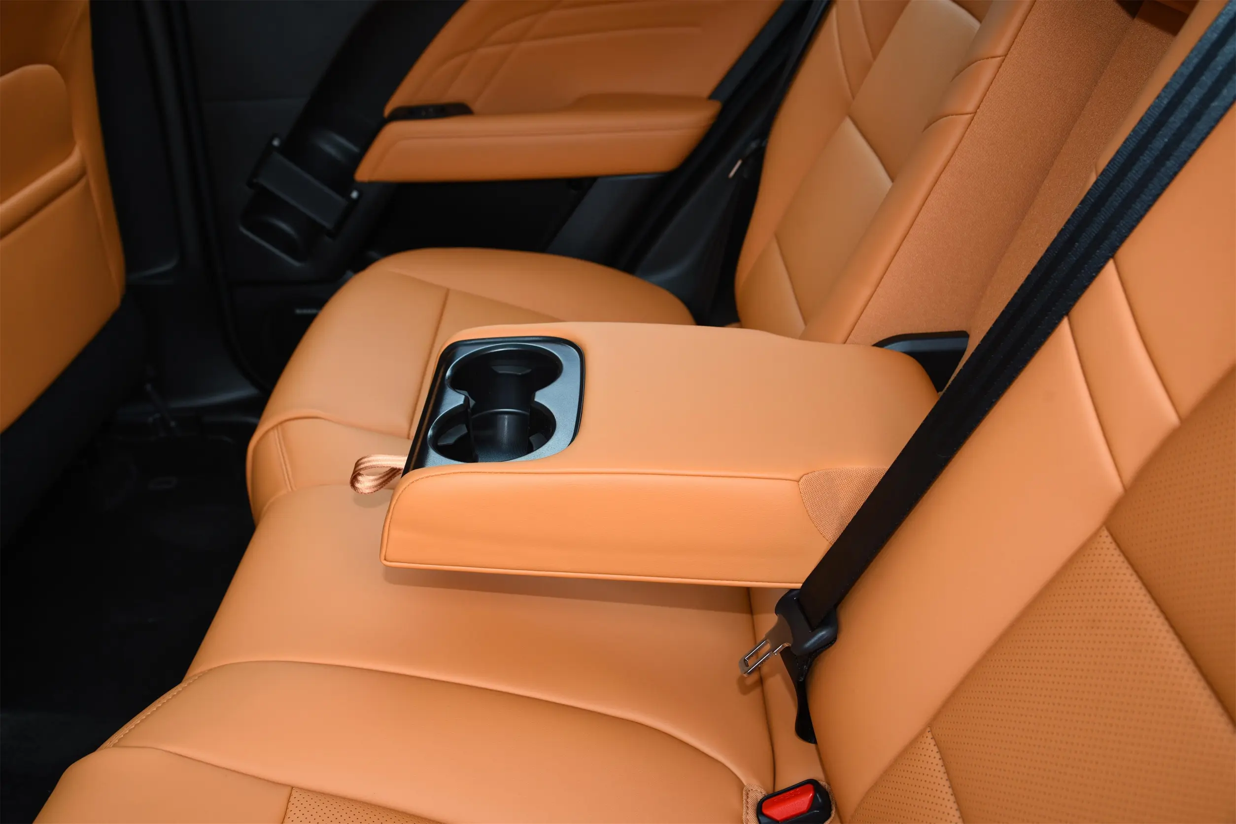 Haval Raptor picture (1)