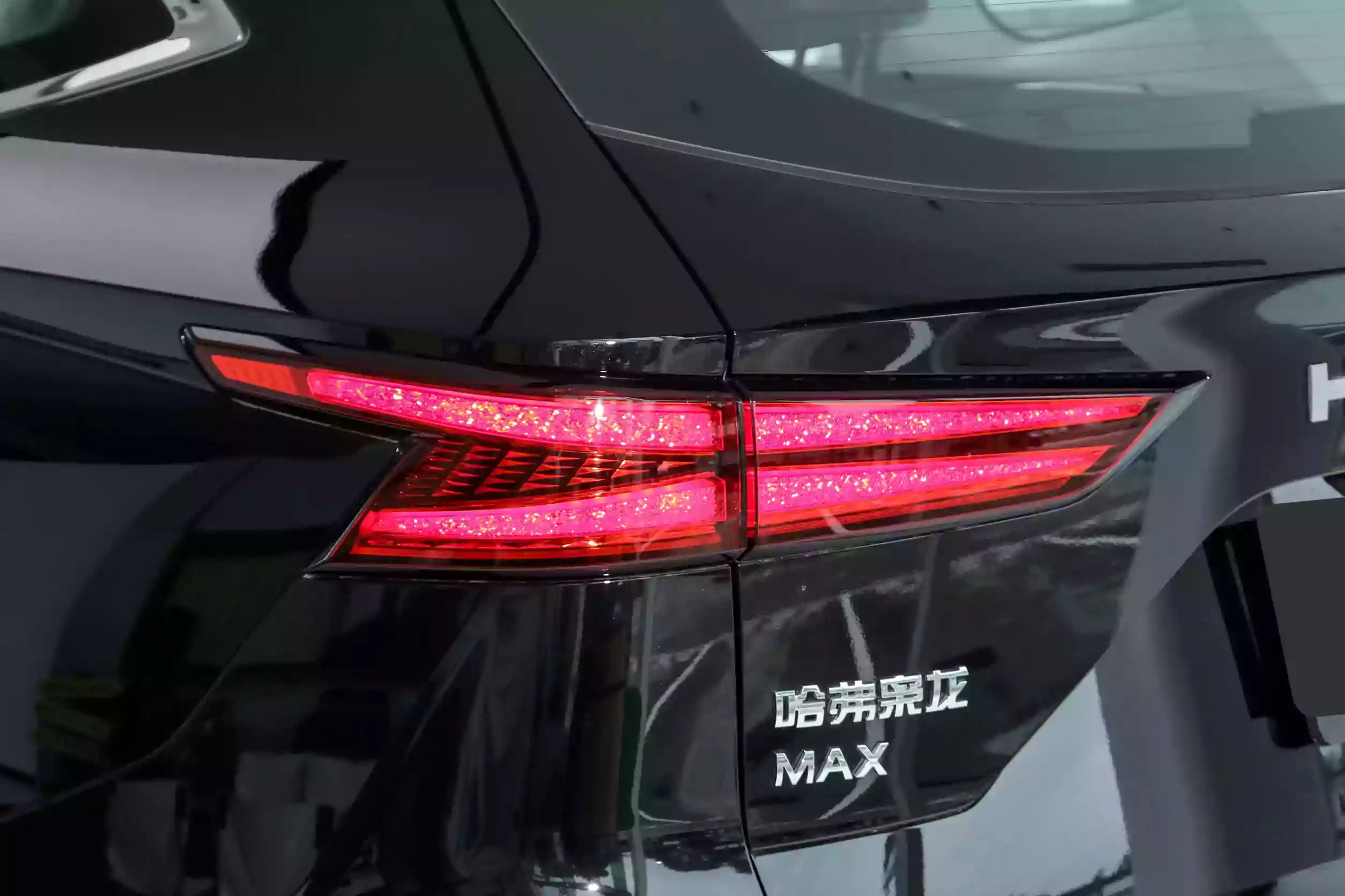Haval Xiaolong Max picuture (6)