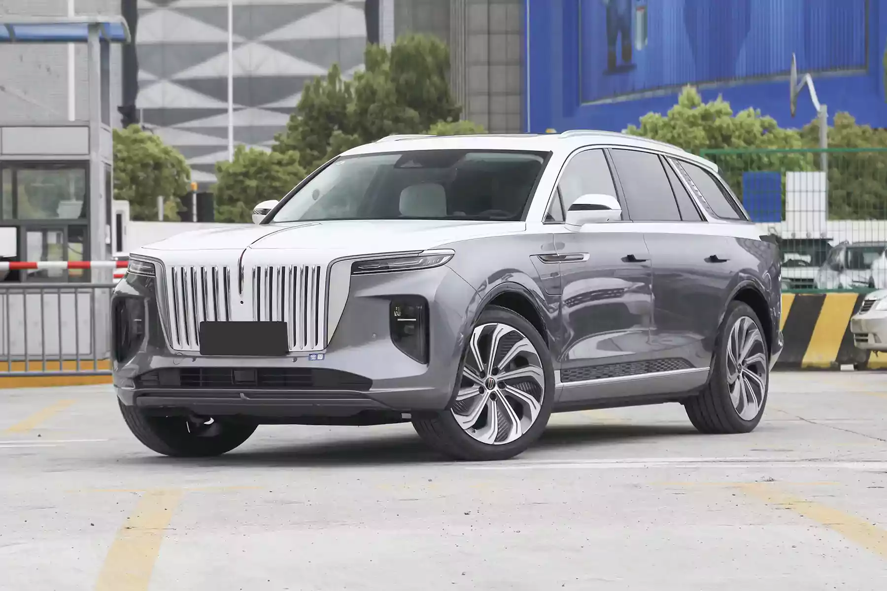 Hongqi E-HS9 picture (3)