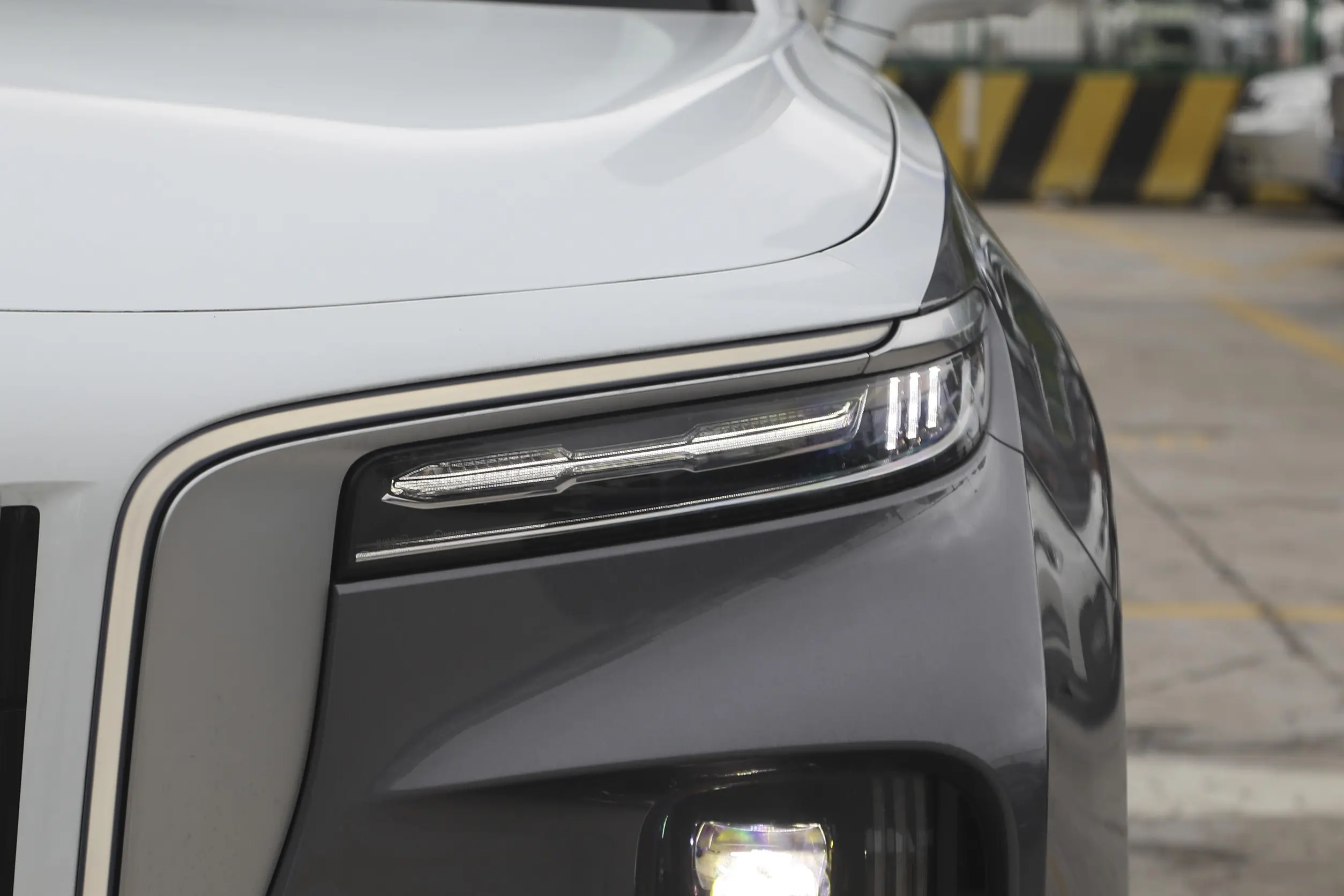 Hongqi E-HS9 picture (5)