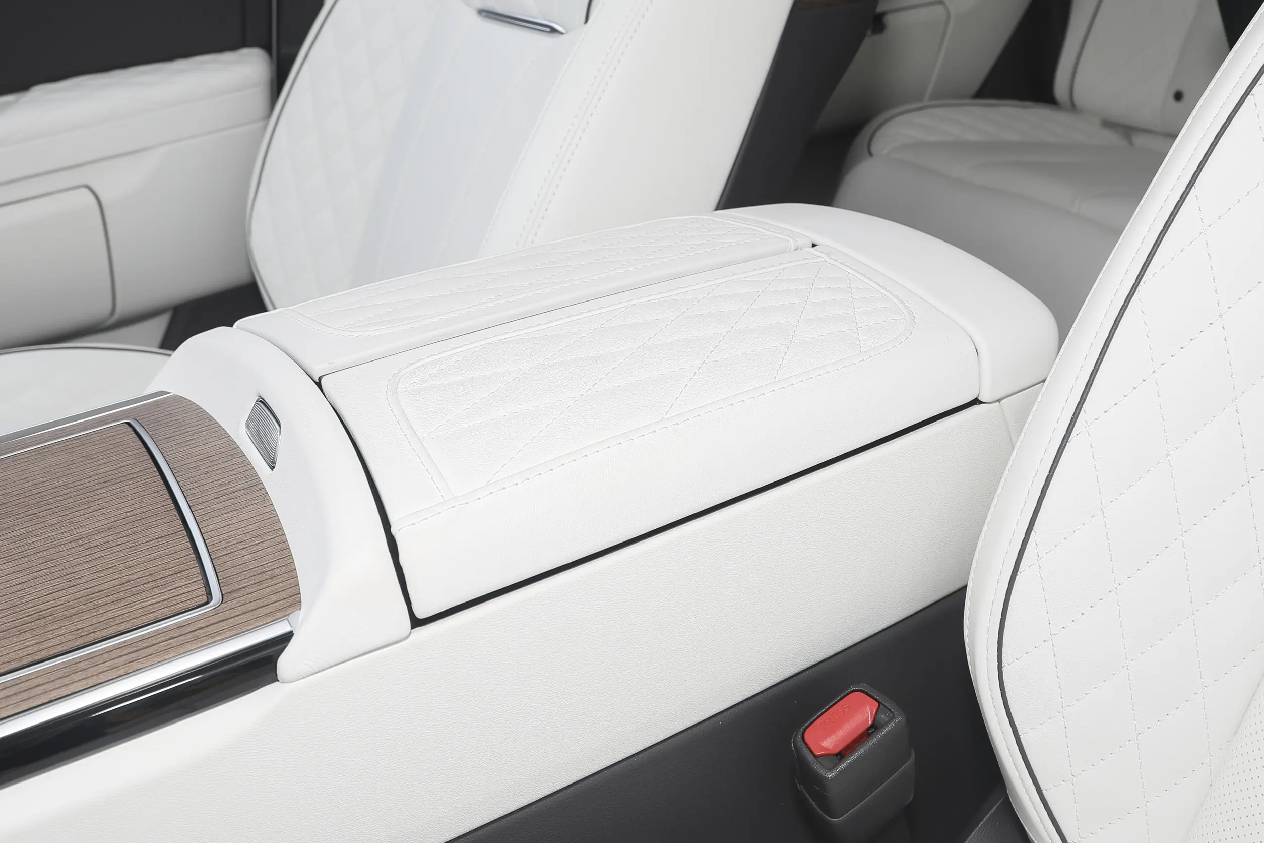 Hongqi E-HS9 picture (6)