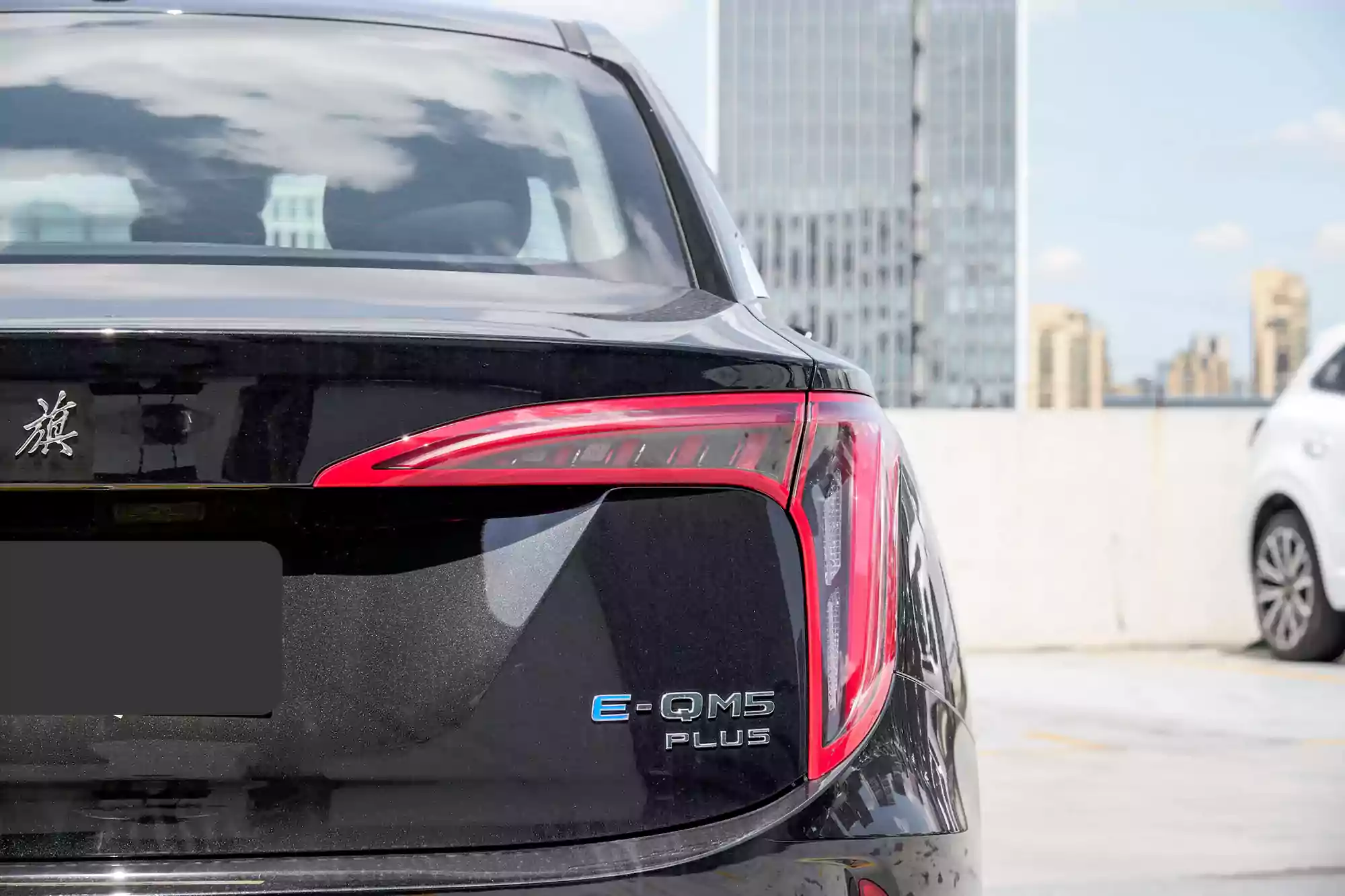 Hongqi E-QM5 picture (4)