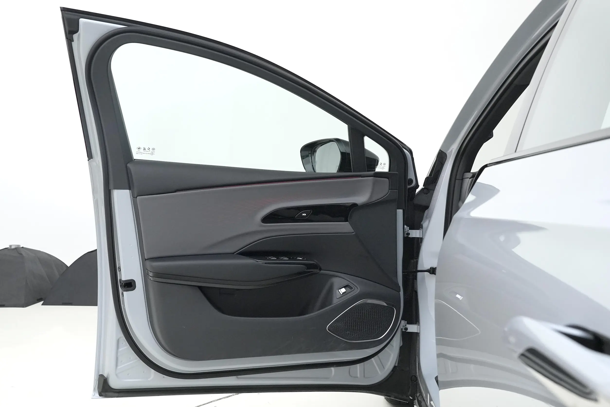 Hongqi EH7 picture (5)