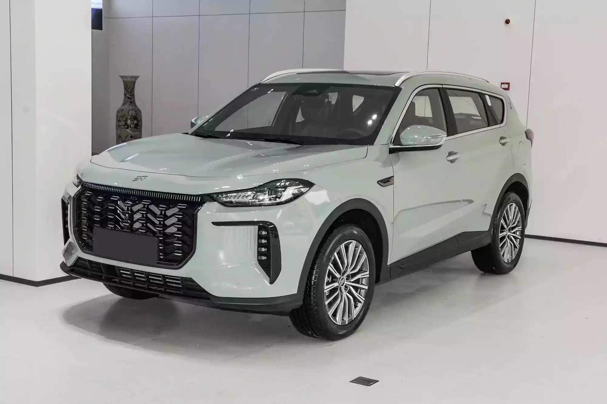 Jetour X70 C-DM picture (6)