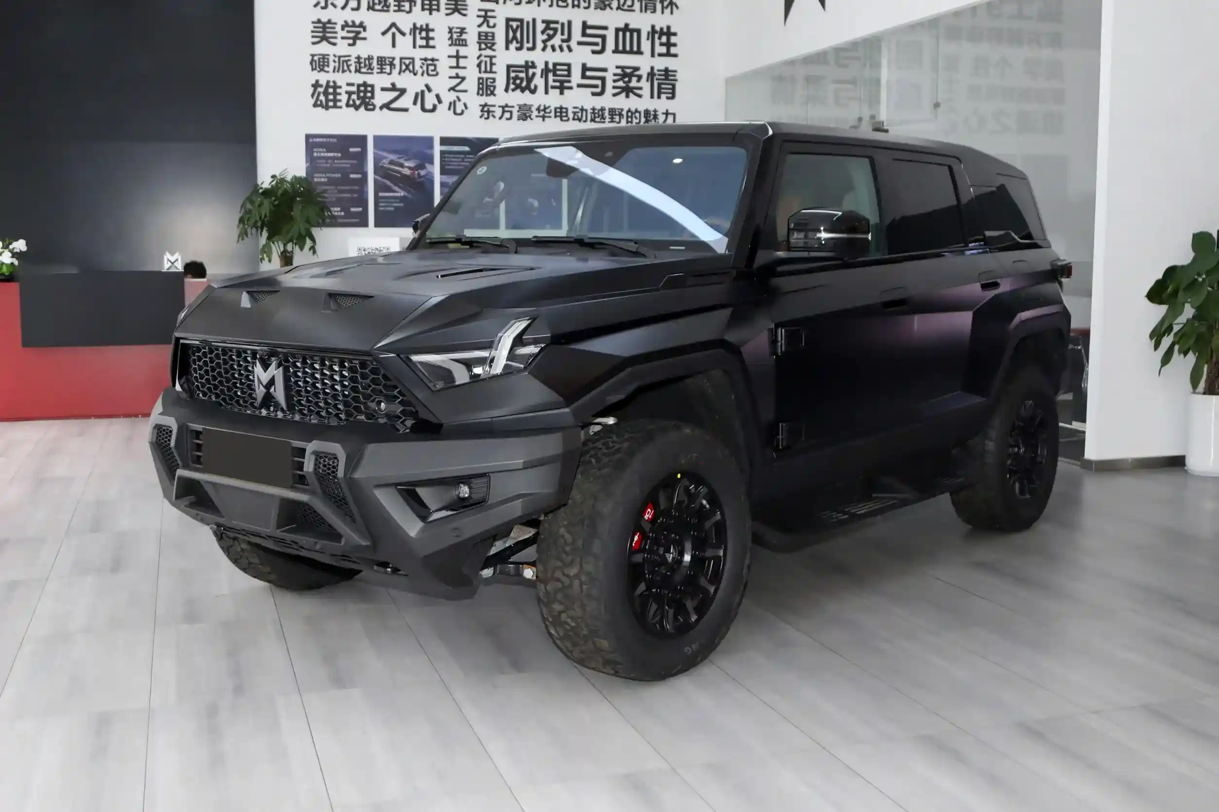 M-Hero 917 REEV picture (7)