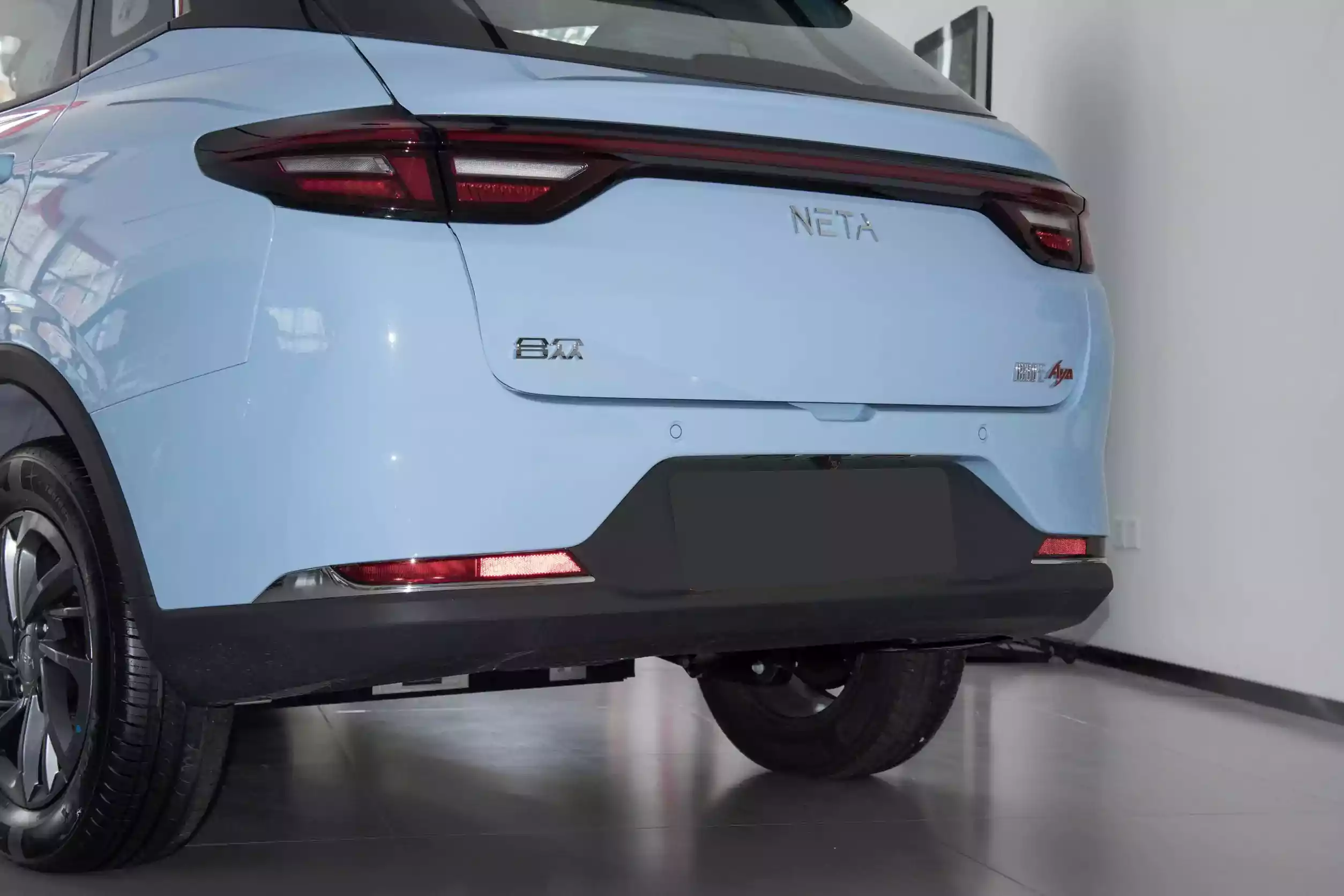 Neta AYA picture (11)