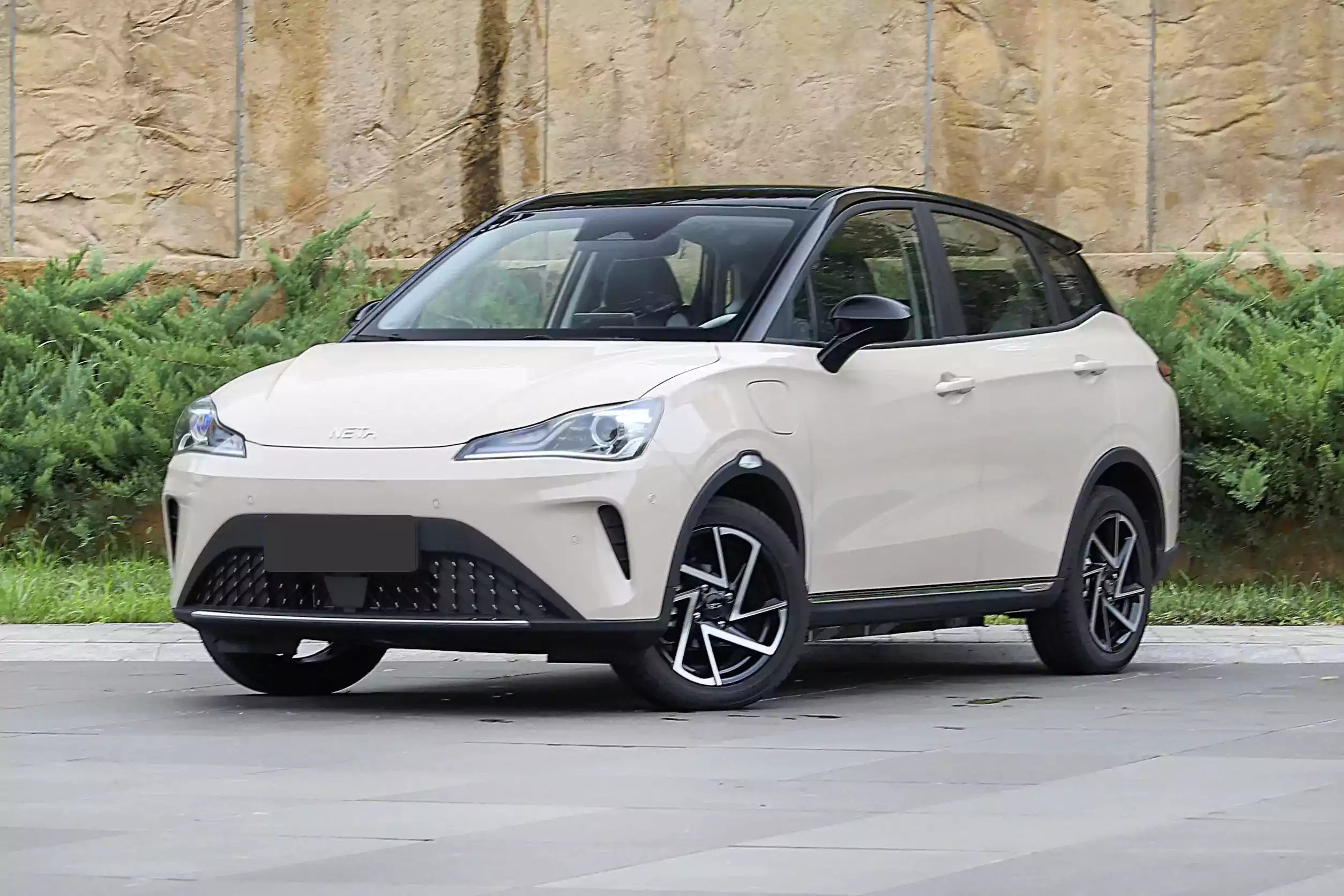 Neta AYA picture (13)