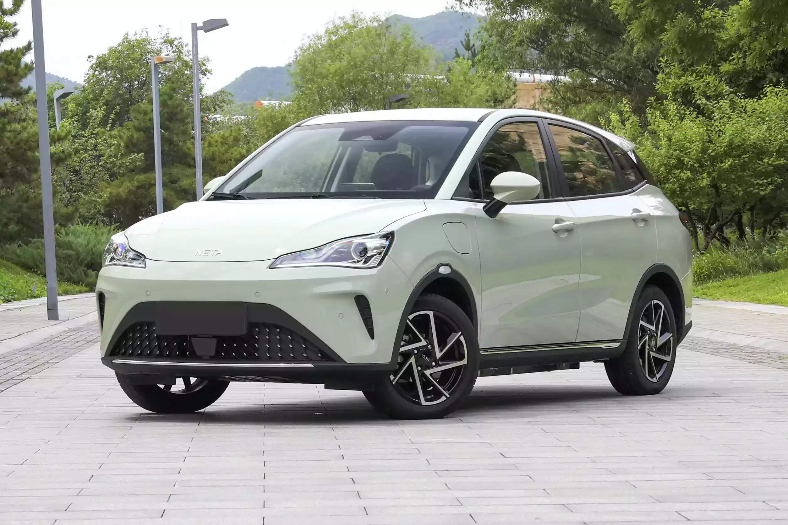 Neta AYA picture (16)