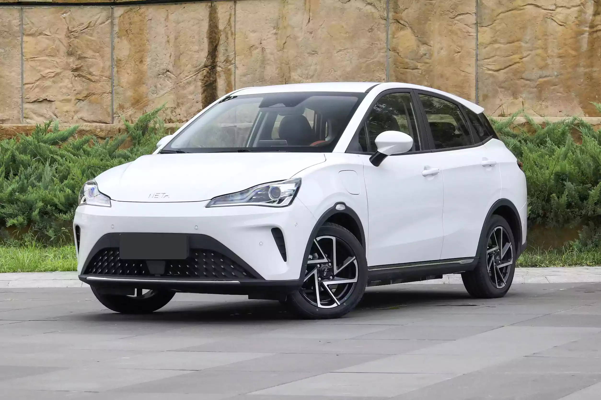 Neta AYA picture (4)