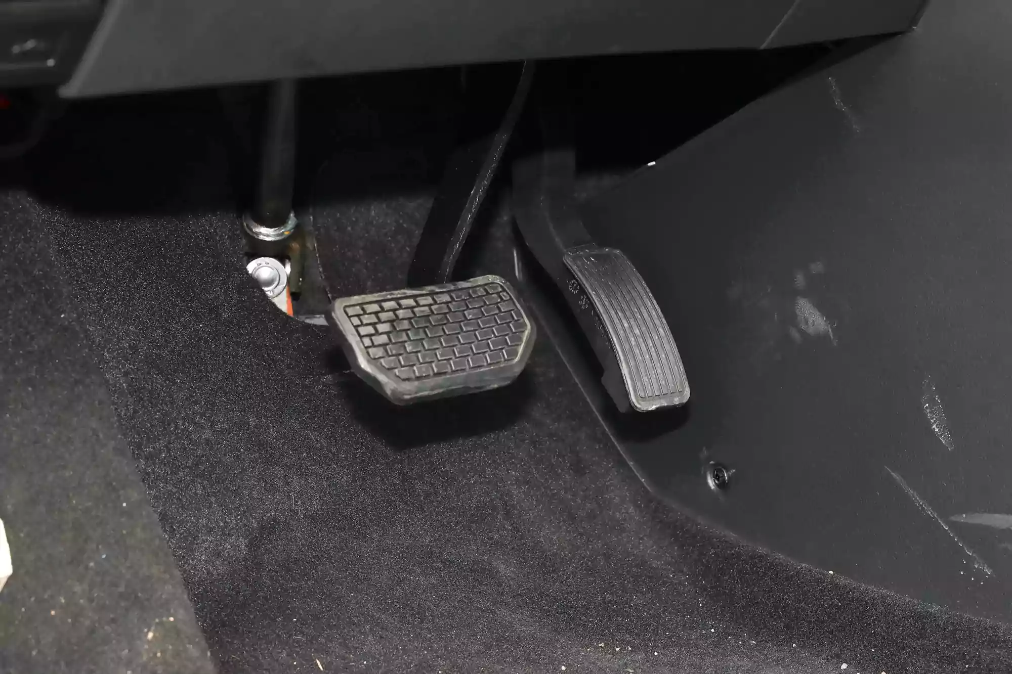 Neta AYA picture (5)