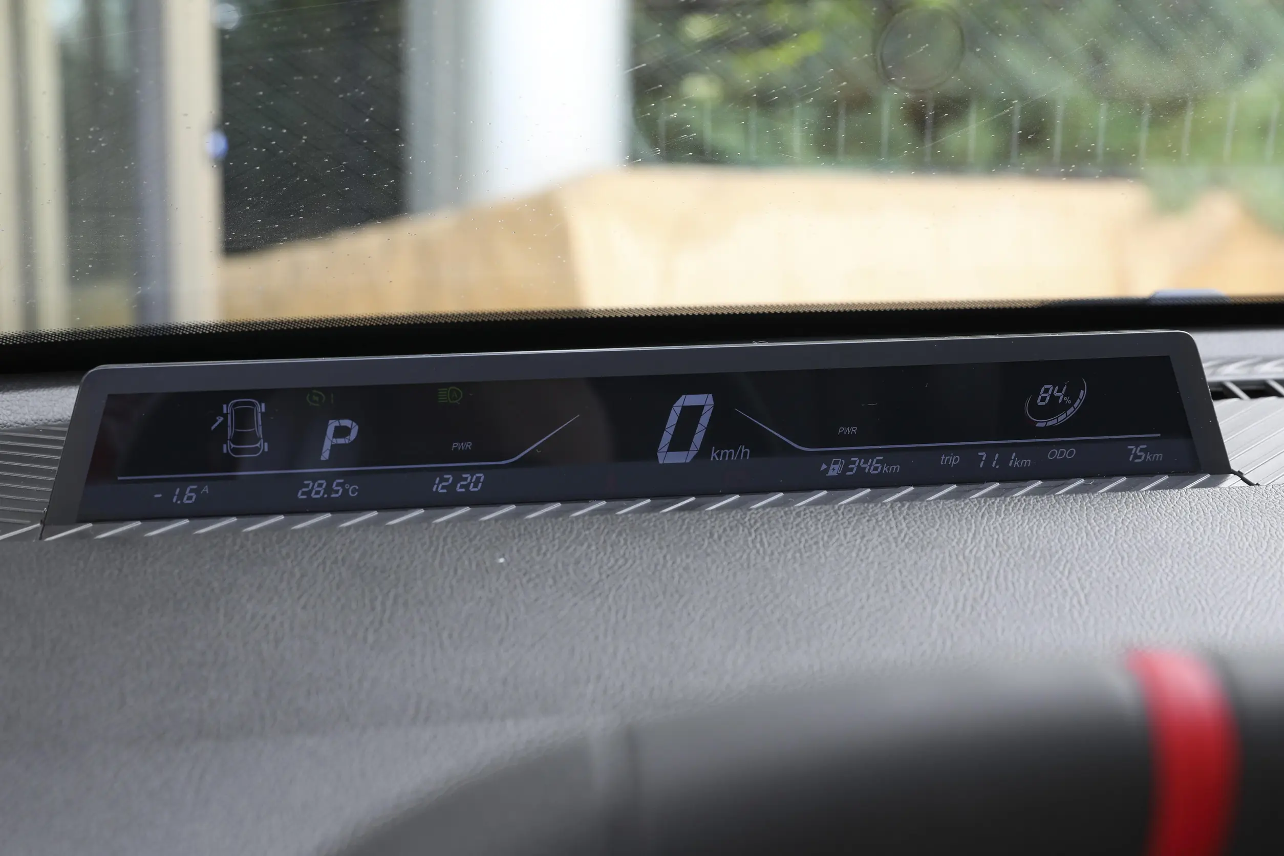 Neta AYA picture (7)