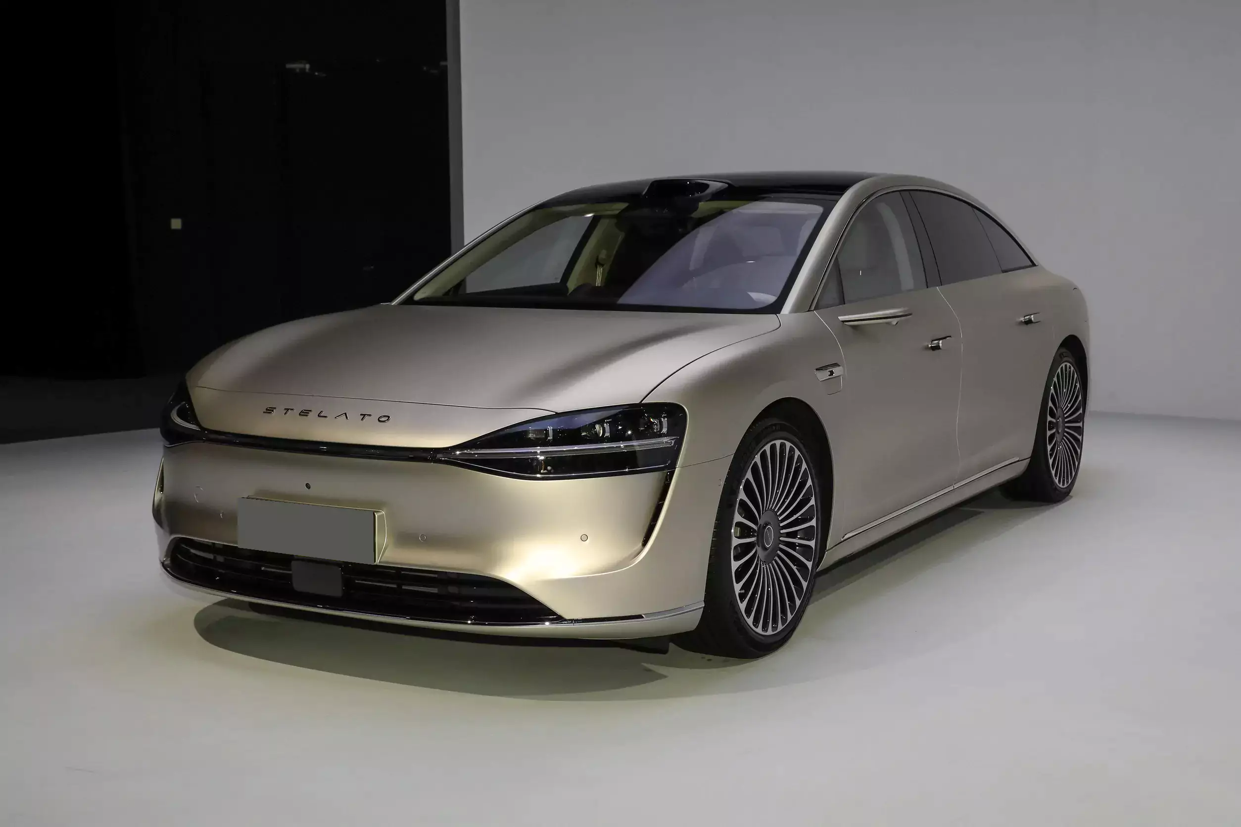 Stelato S9 2024 picture-12