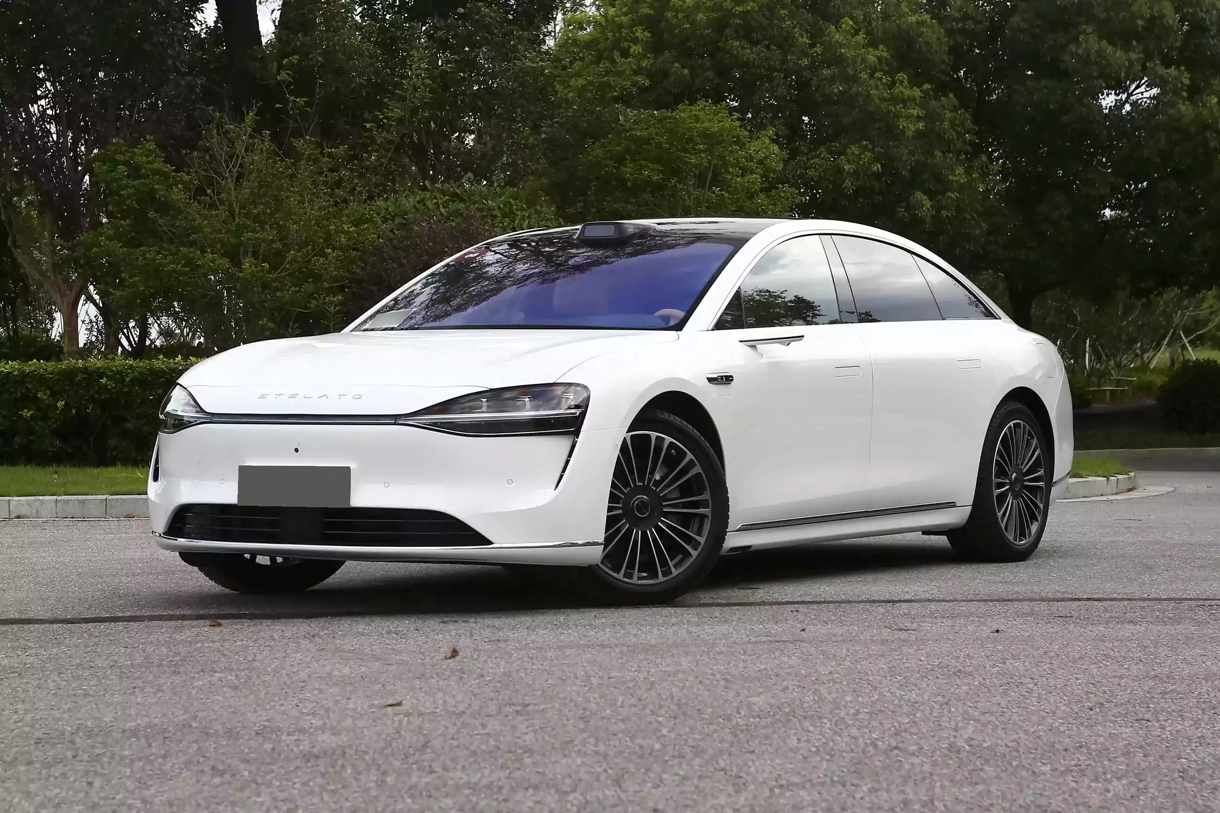 Stelato S9 2024 picture-13