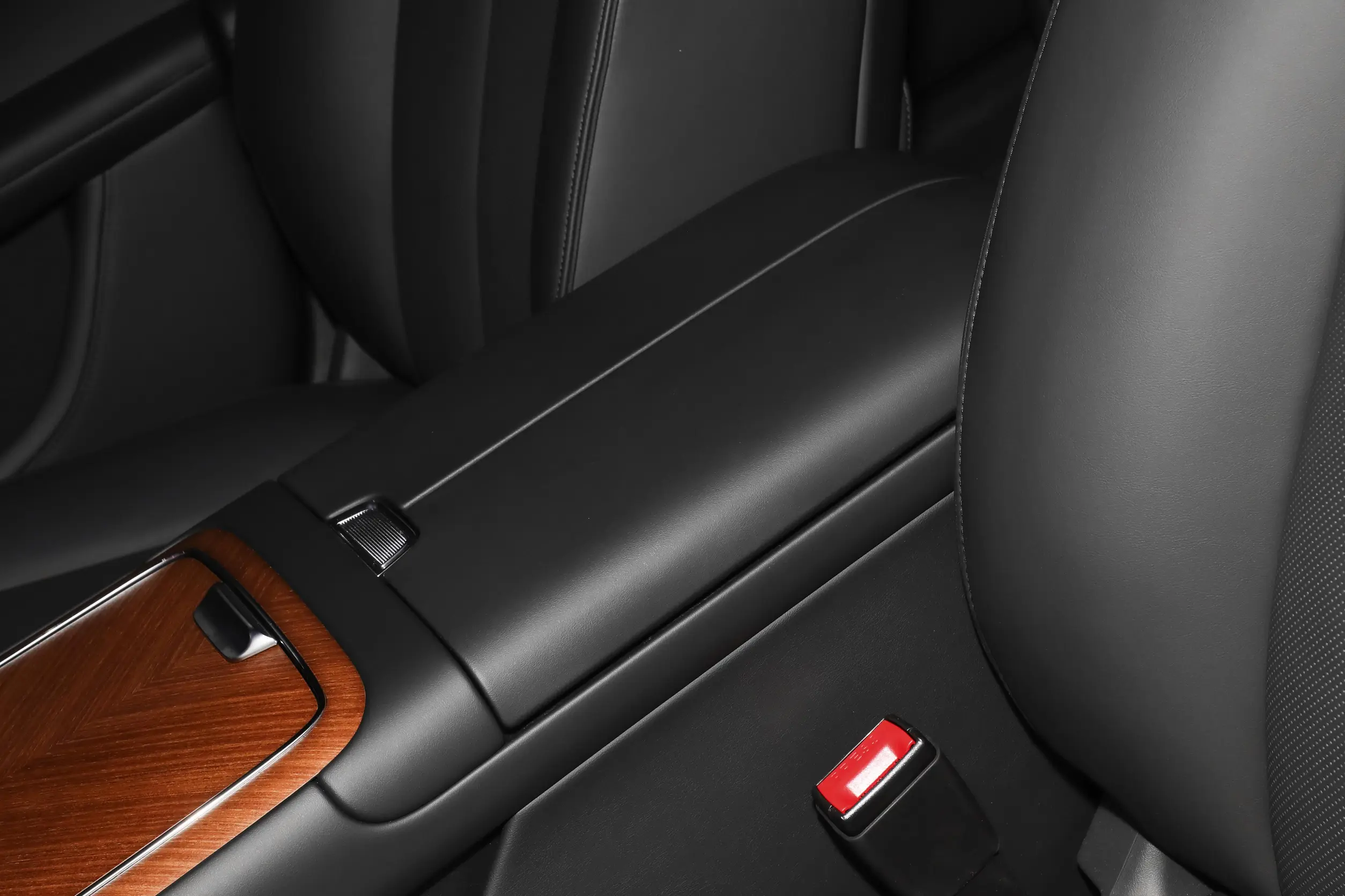 Stelato S9 2024 picture-8