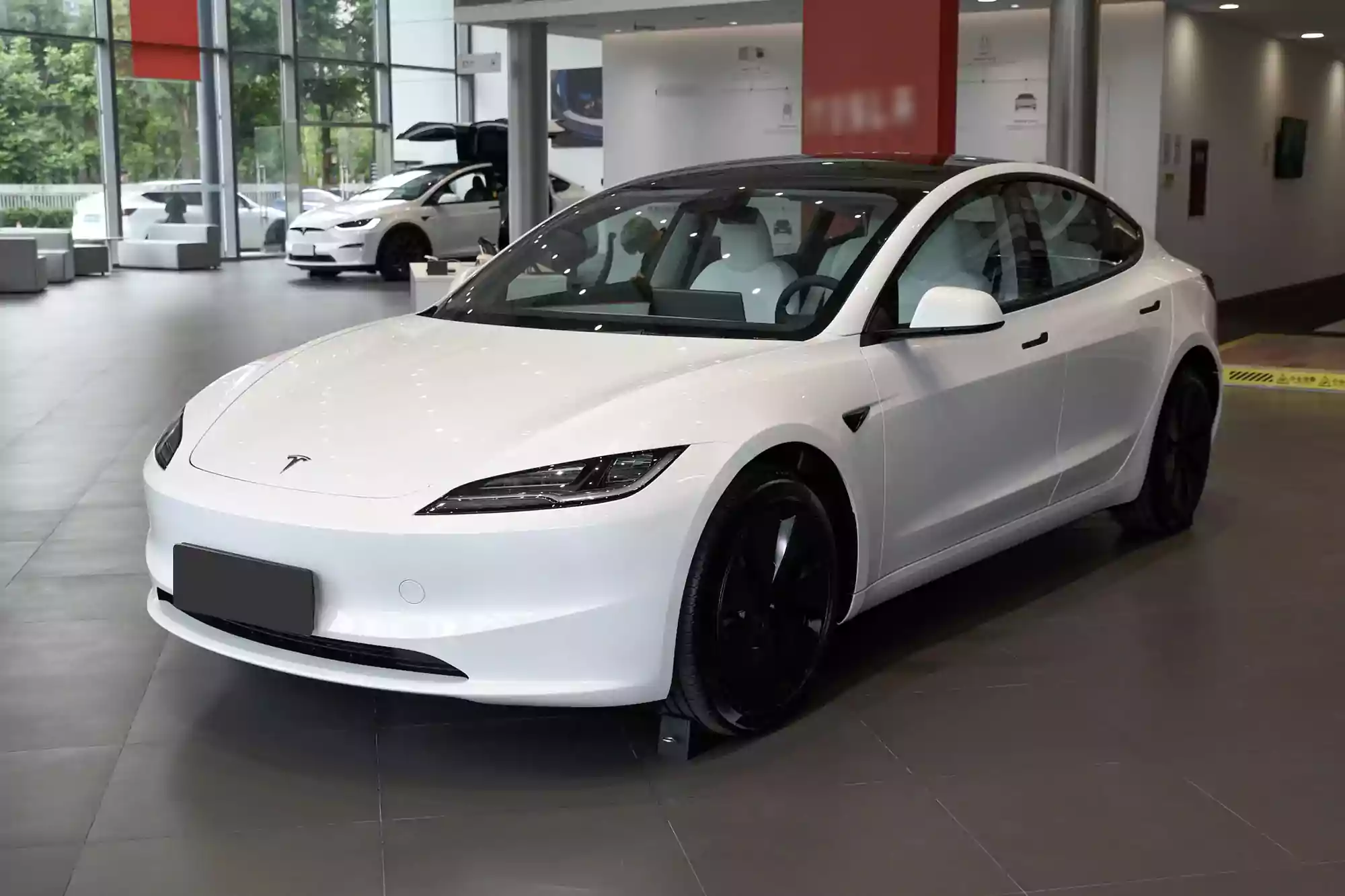 Tesla Model 3 picture (1)
