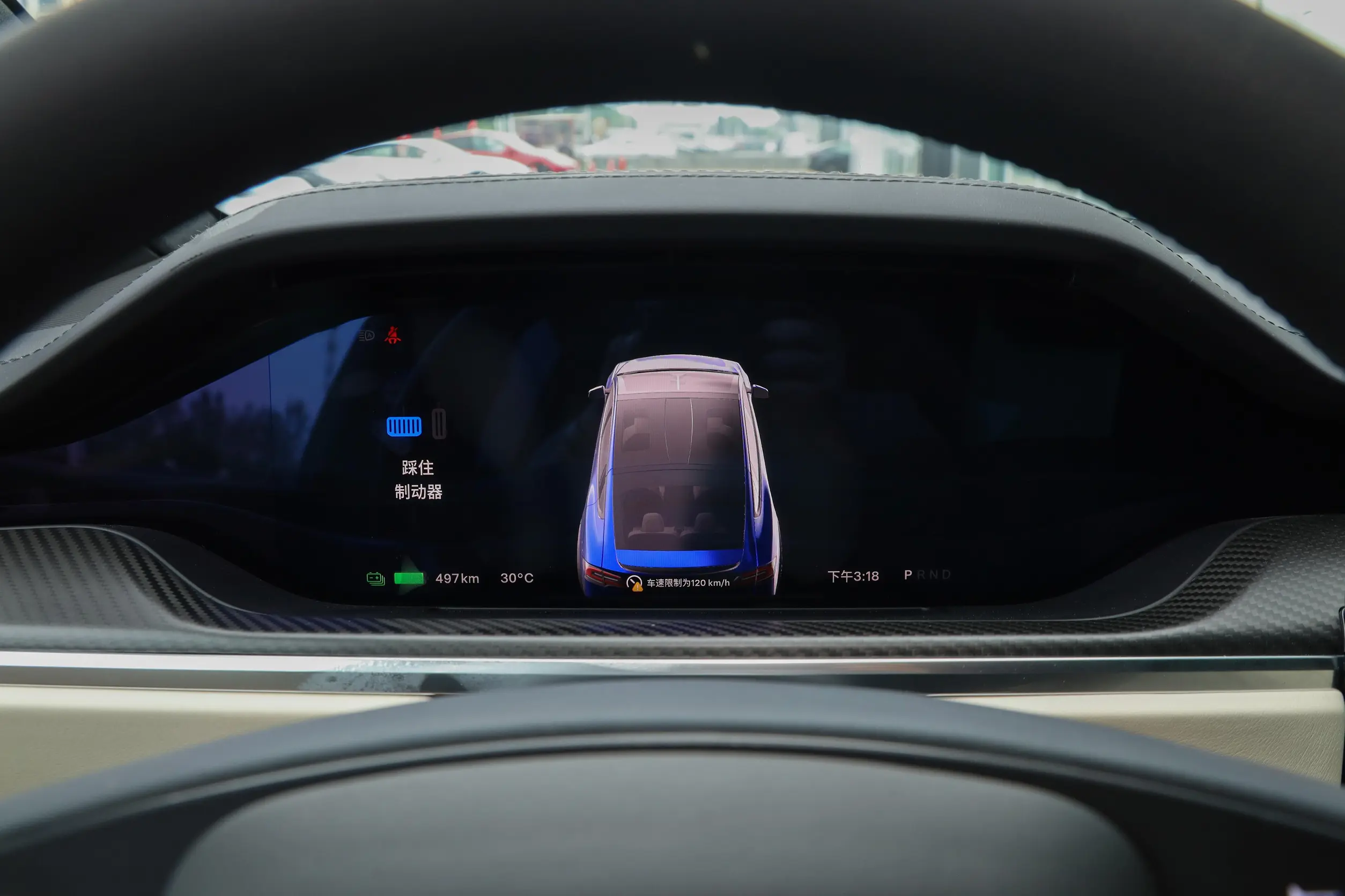 Tesla Model X picture (1)