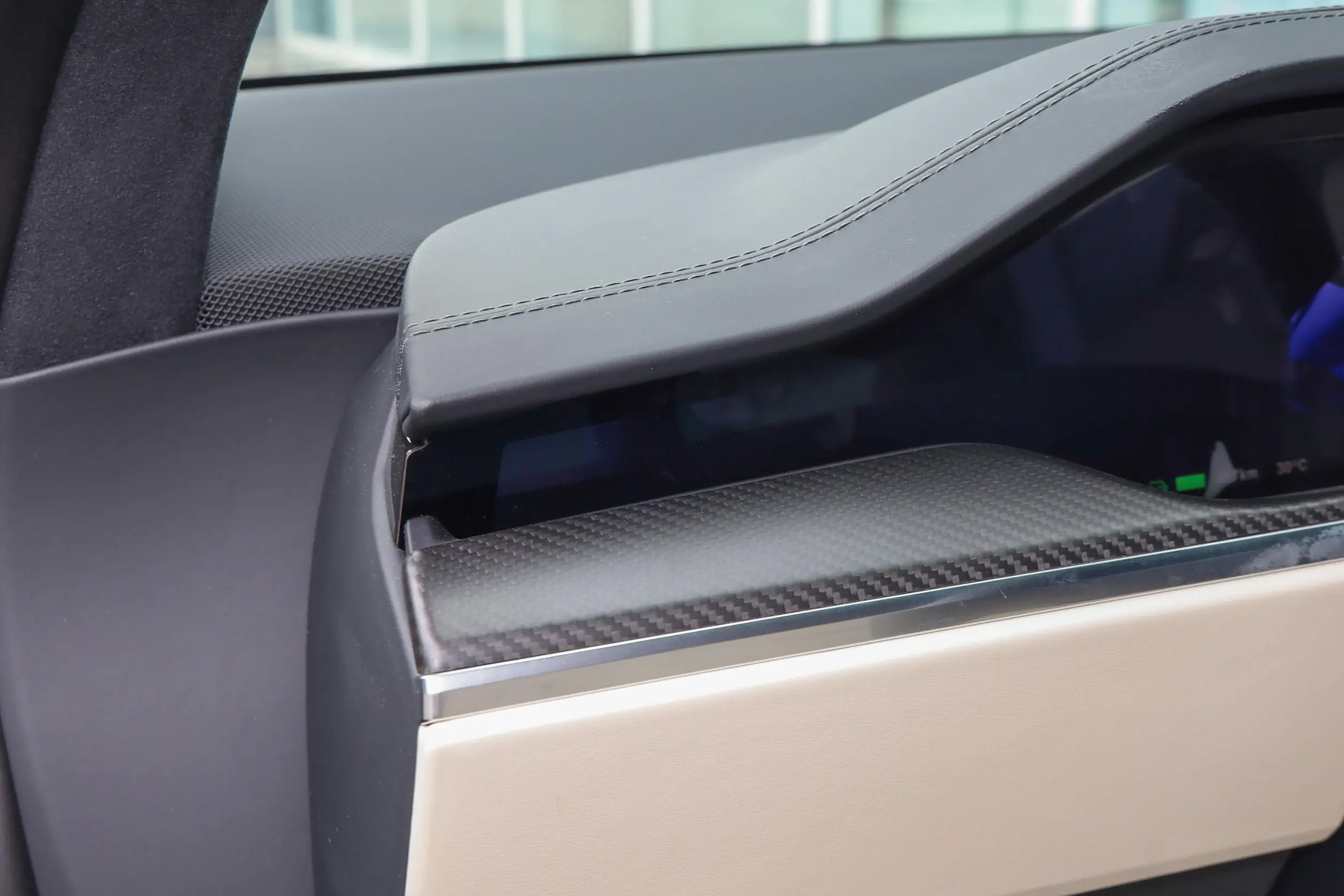 Tesla Model X picture (11)