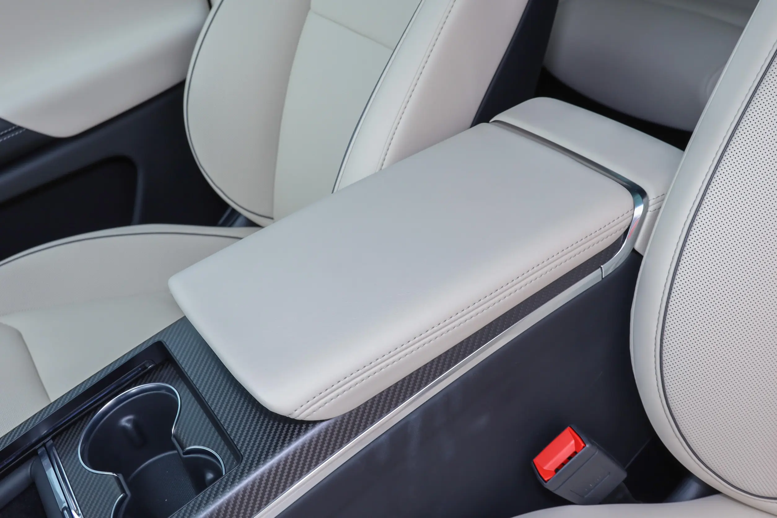 Tesla Model X picture (11)