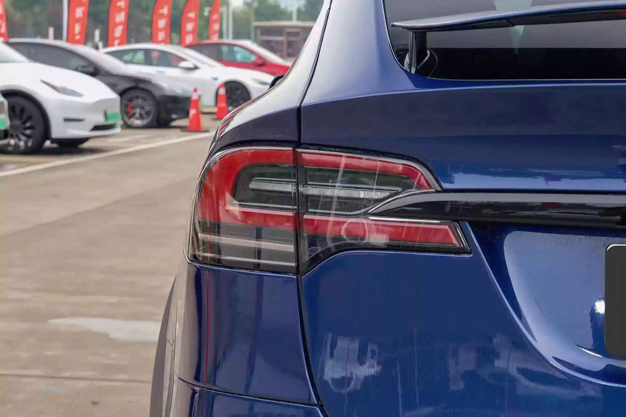 Tesla Model X picture (5)