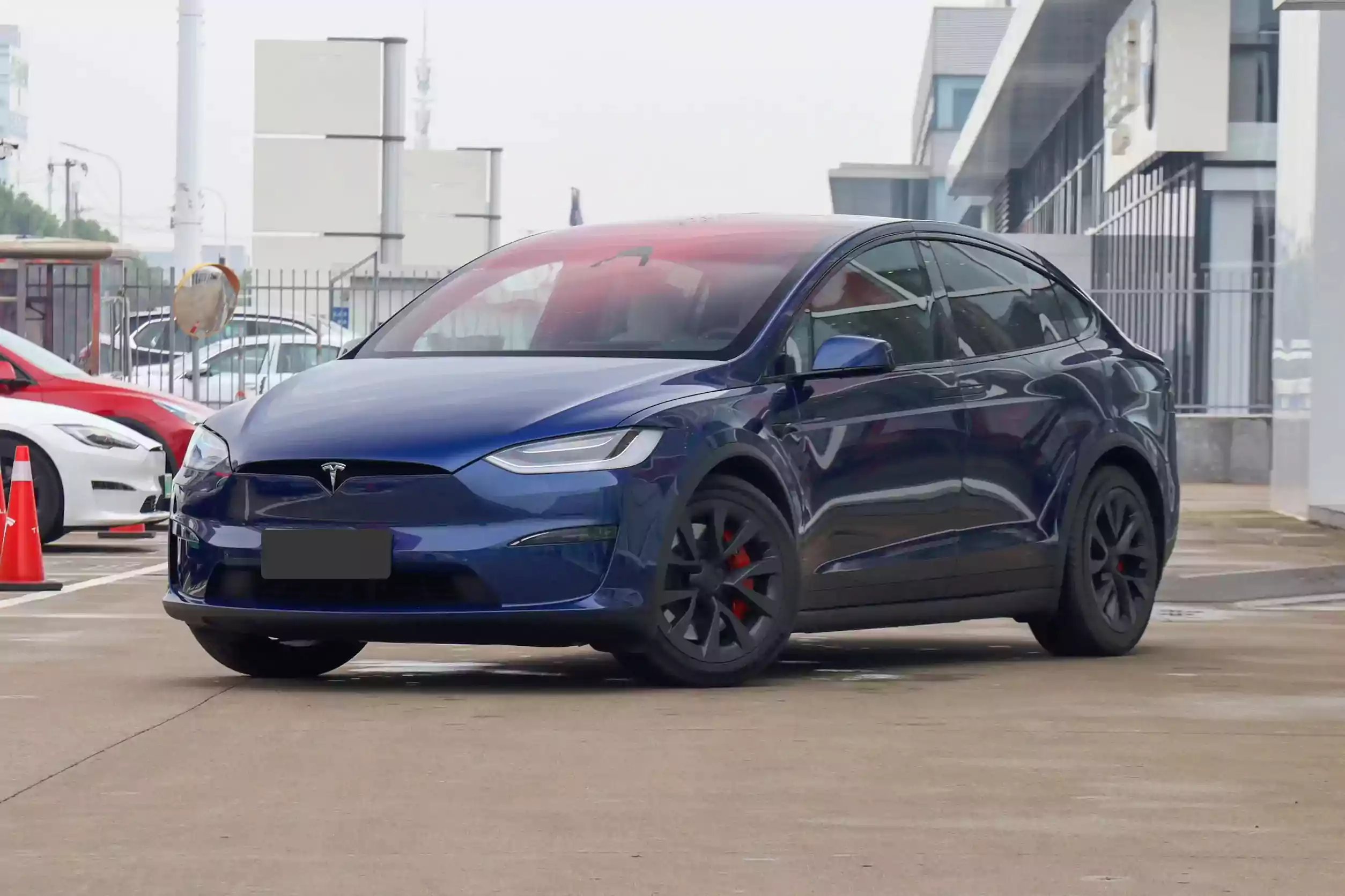 Tesla Model X picture (8)