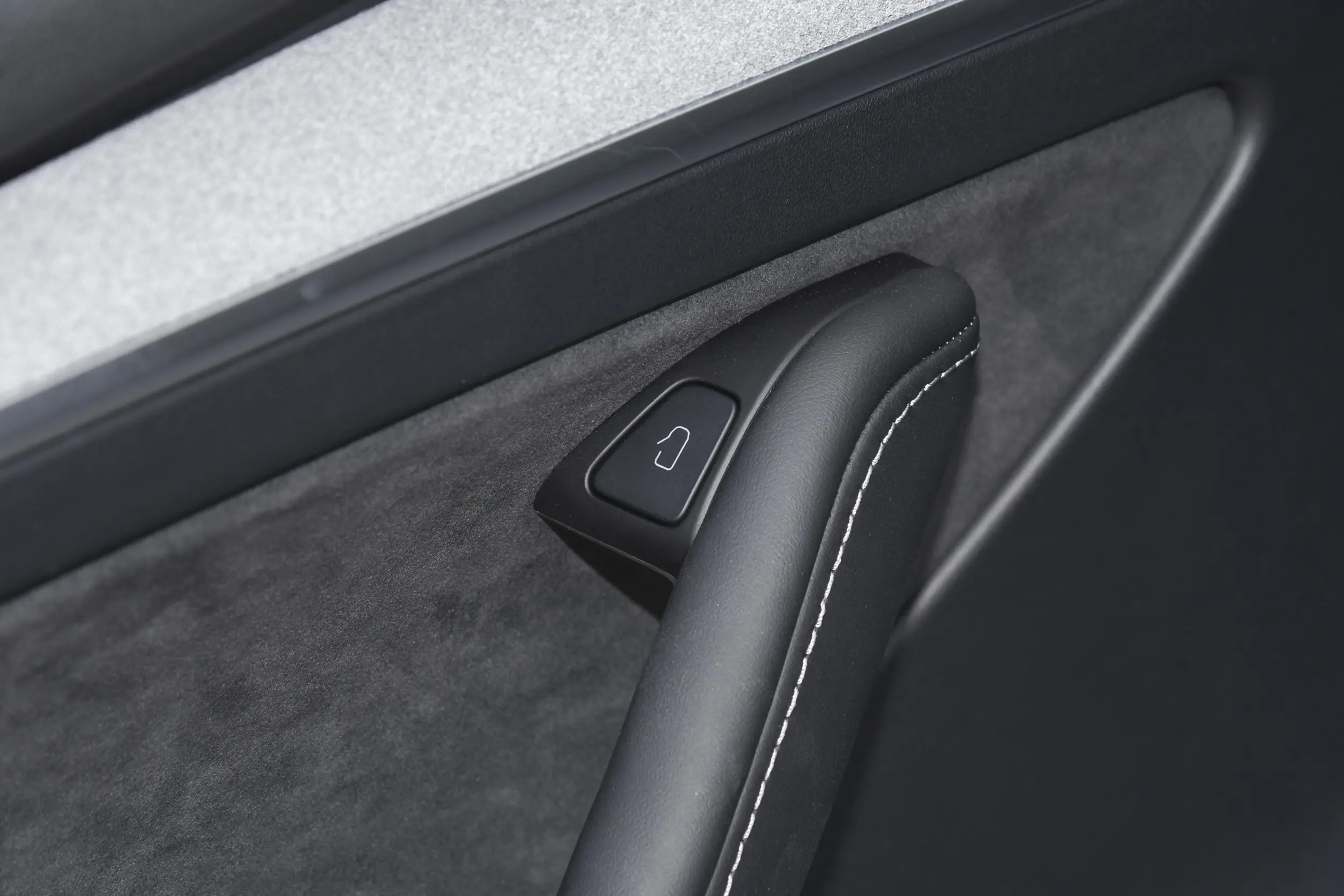 Tesla Model Y picture (8)