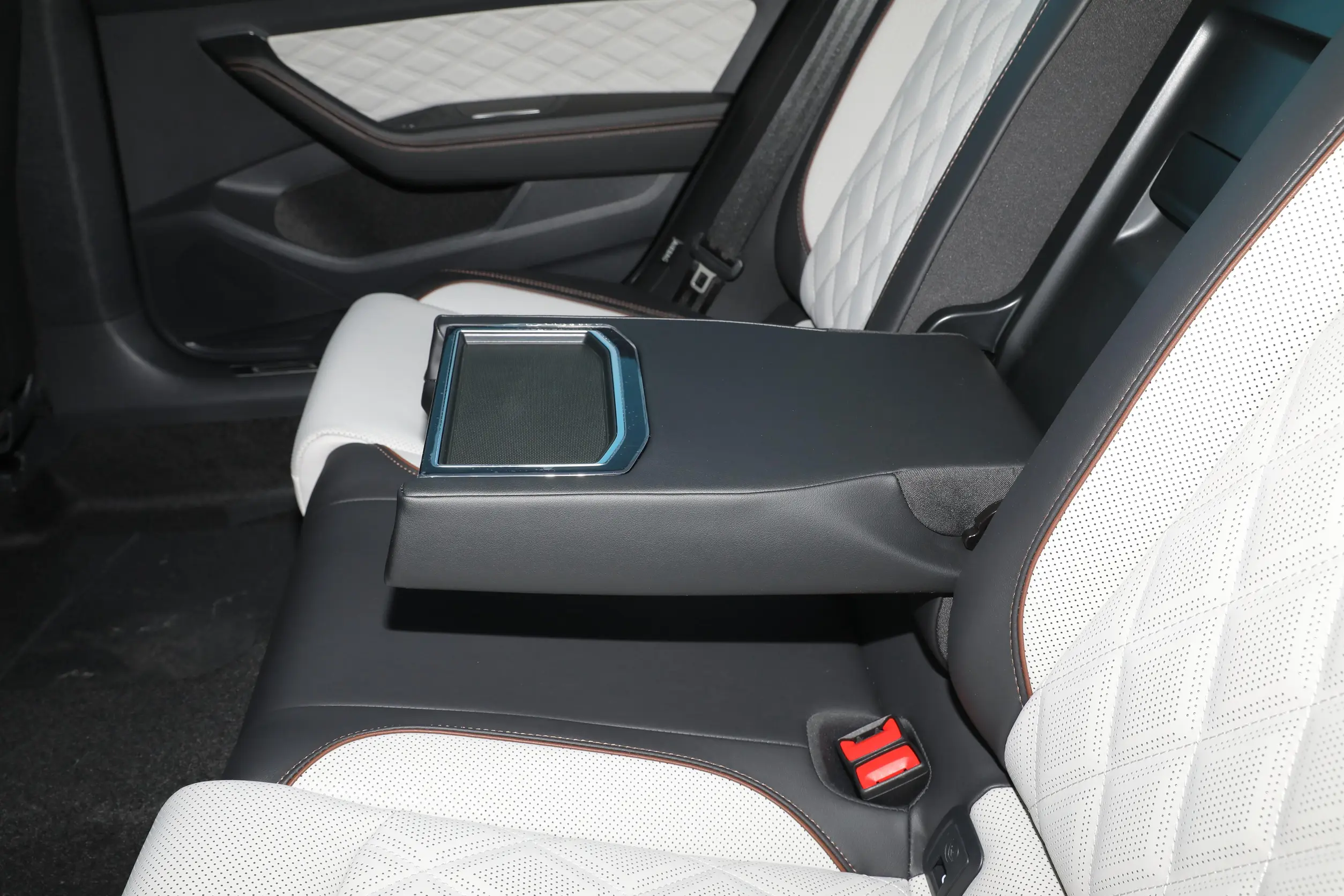 Volkswagen Magotan picture (5)